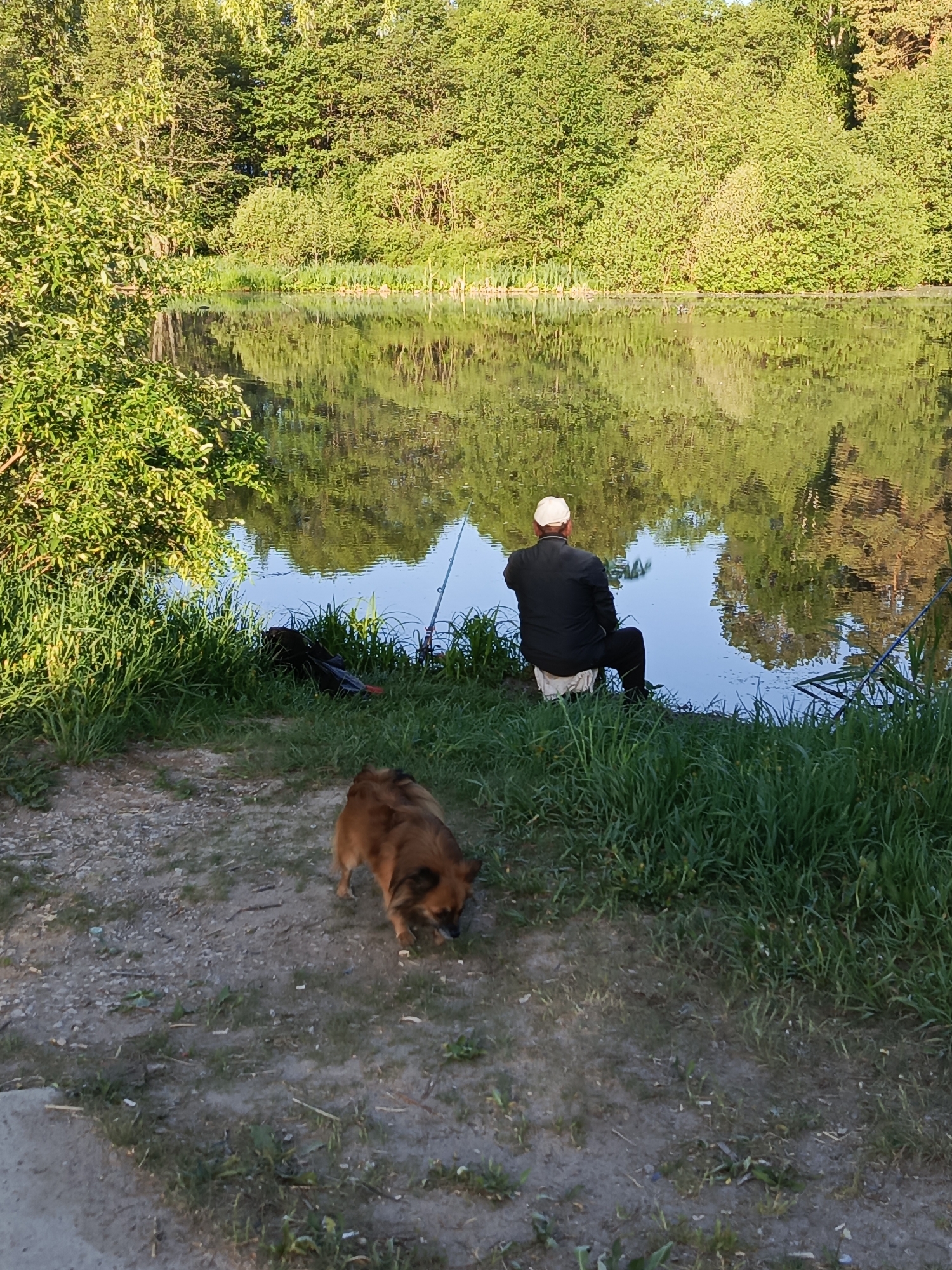 A man is fishing on the bank of a calm body of water, likely a pond or lake. The man is seated, wearing a dark jacket and a light-colored cap. A fishing rod is positioned near him, extending toward the water. A dog is present, standing on a dirt path near the grassy bank. Lush greenery surrounds the water, with trees and bushes reflected in the water's surface. The location is Chaikovsky, Russia.