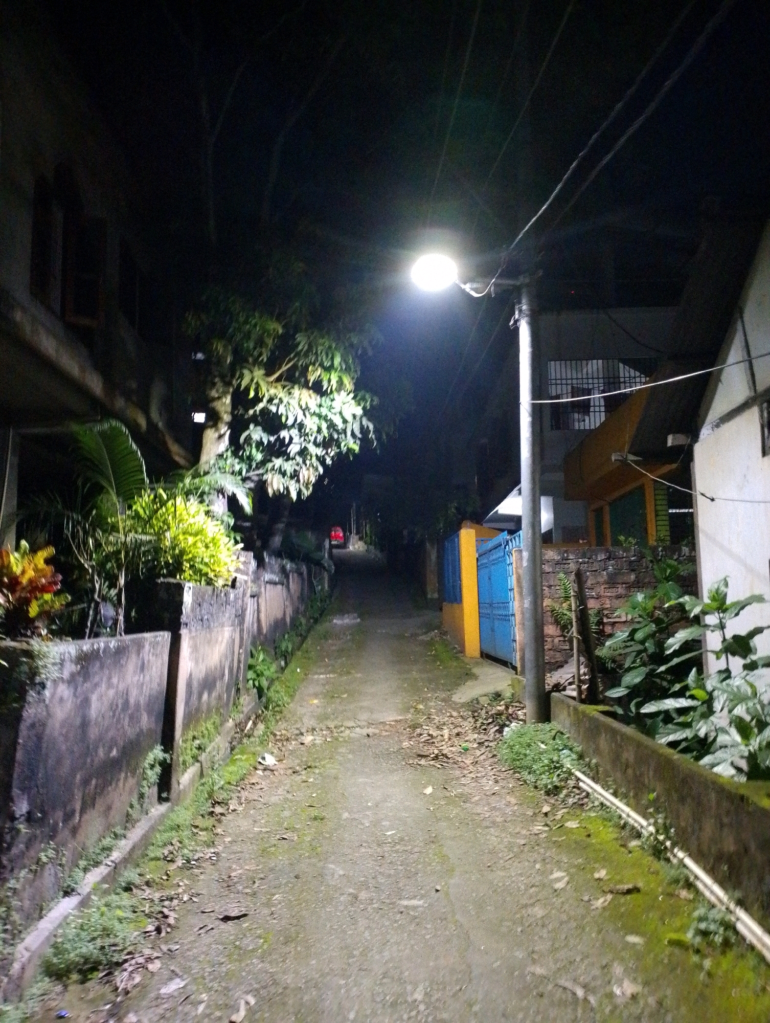 The image shows a narrow, unpaved alleyway at night in Maligaon, India. A single overhead streetlamp illuminates the scene, casting a bright light on the path and surrounding vegetation. The alley is flanked by low concrete walls on either side. On the left, a wall borders a property with a building and lush green plants, including a palm tree. On the right, the wall is covered in moss and foliage, and a blue and yellow gate is visible further down the alley. The ground is covered with scattered leaves and debris. In the distance, a red vehicle's taillights are faintly visible, suggesting a road beyond the alley. Overhead, electrical wires are strung across the dark sky. The overall impression is one of a dimly lit, residential pathway.