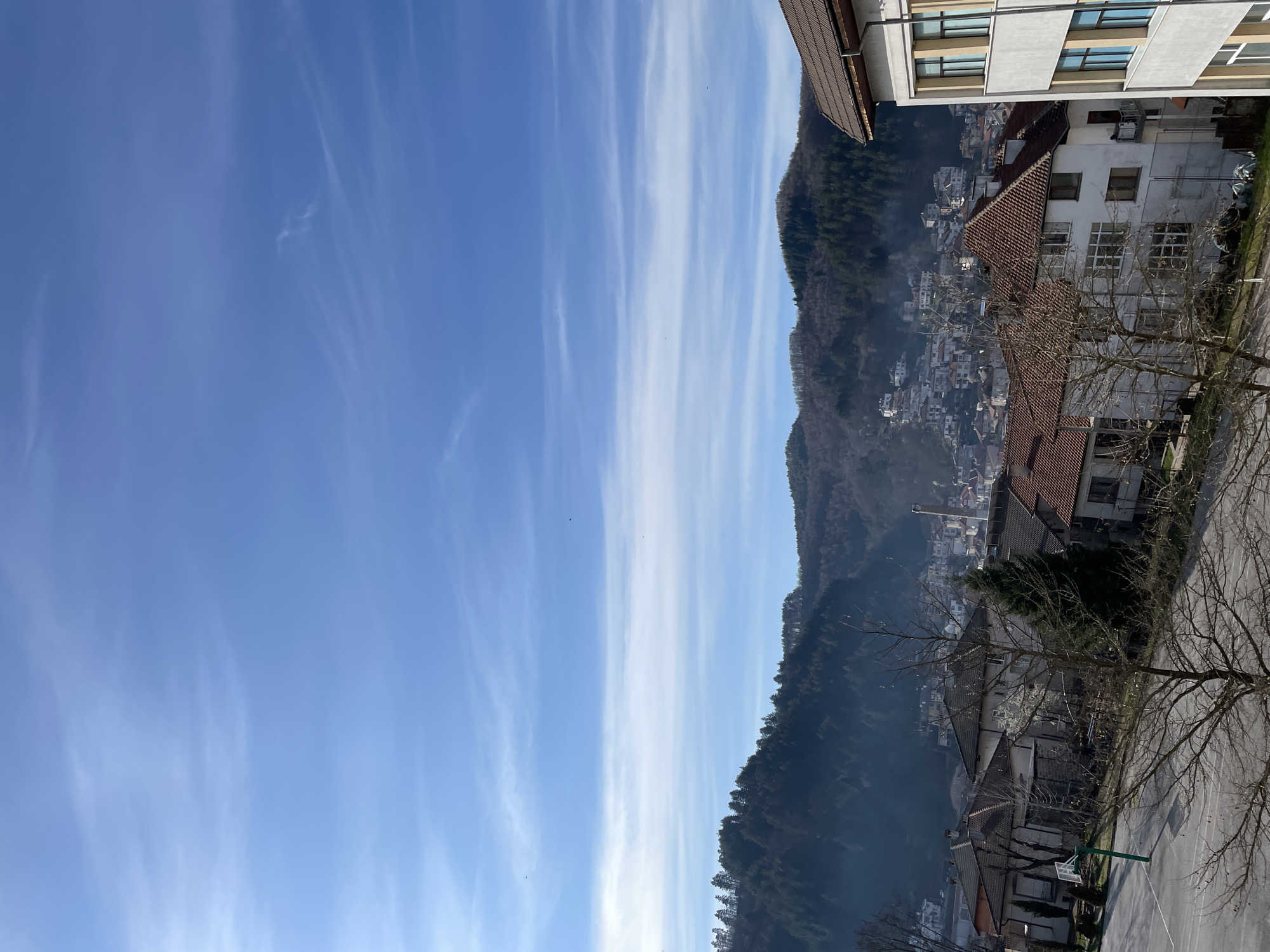 The image captures a view in Zlatograd, Bulgaria. The sky is light blue with streaky white clouds. A tree-covered mountain rises on the right side of the image. In the foreground, a cluster of buildings, primarily residential, with red-tiled roofs and white facades is visible. A mix of older and modern architectural styles is present. Bare tree branches frame the lower right corner of the image, indicating it is likely taken during late fall or early spring. The terrain appears hilly, with the urban area nestled into the landscape. A layer of haze hangs in the distance near the mountain's base.