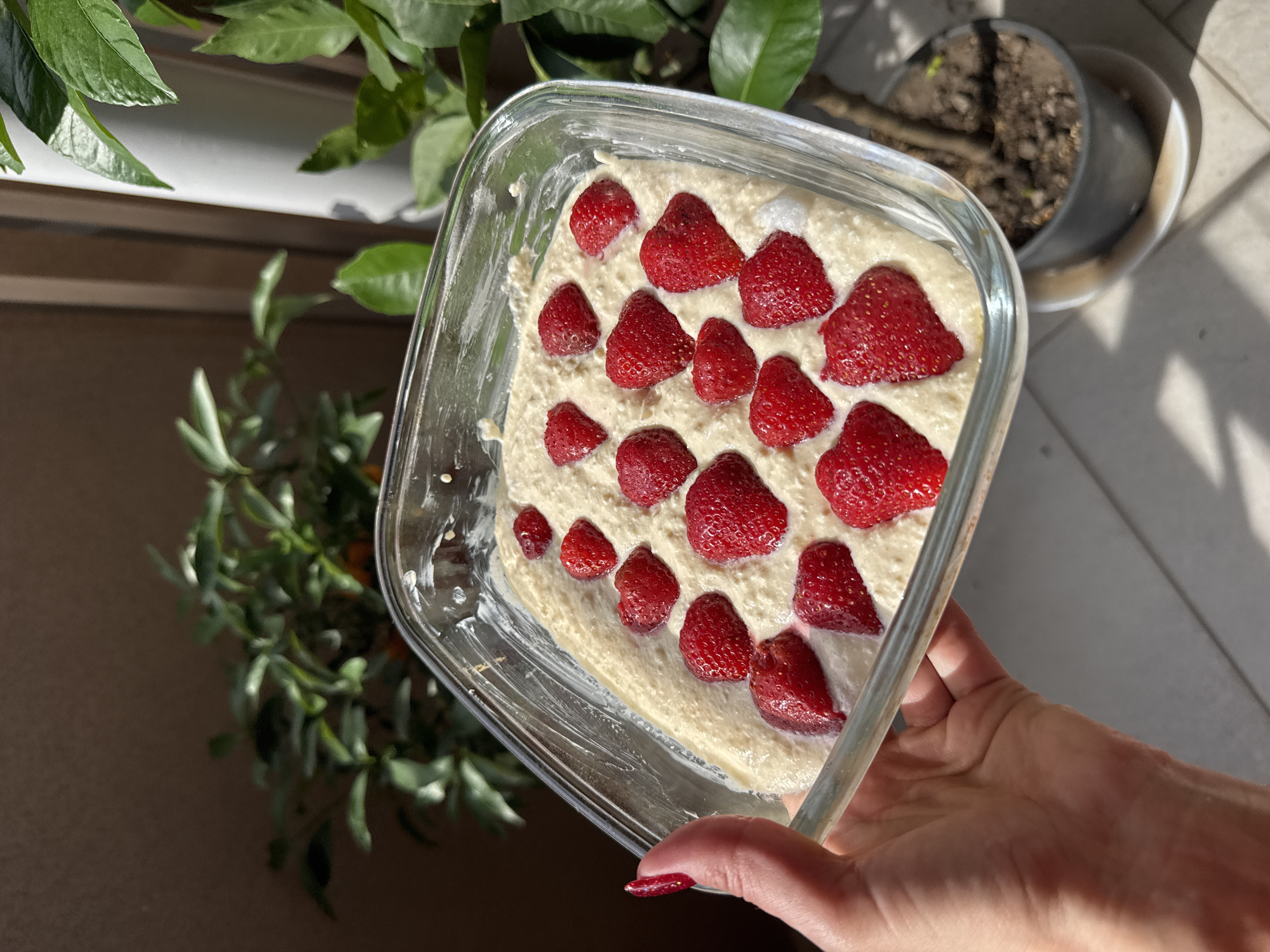 A person's hand with red nail polish is holding a clear glass square baking dish containing a light-colored batter topped with sliced strawberries. The strawberries are arranged in a pattern across the surface of the batter. The dish is positioned in front of blurred green foliage and vertical wooden slats, suggesting an outdoor or sunlit indoor setting. The lighting creates shadows on the surface below the dish.