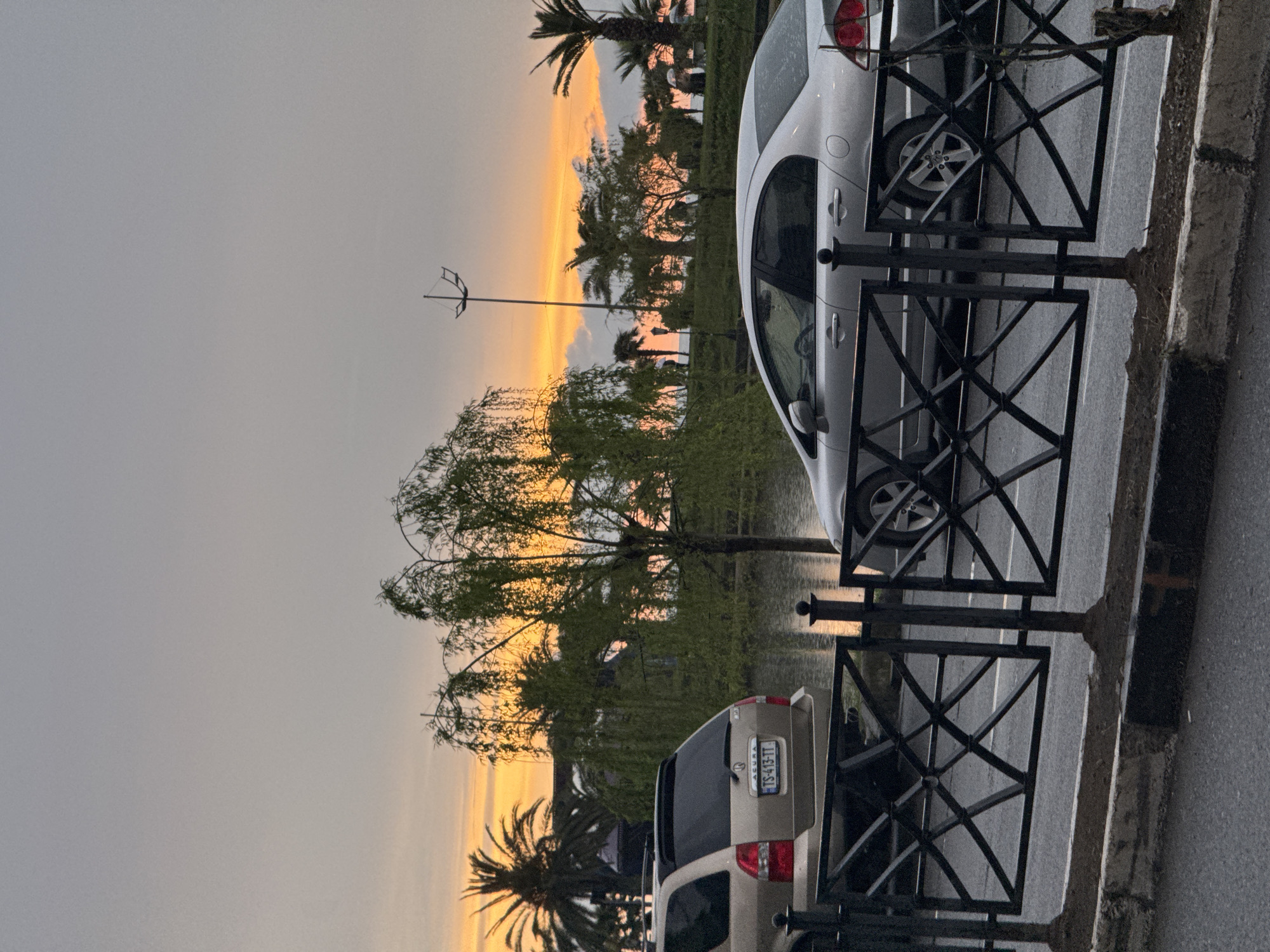 The image captures a street scene in Batumi, Georgia at dusk. The sky displays a gradient from orange to gray, signaling either sunrise or sunset. Several palm trees are visible, silhouetted against the brighter sky.
Two cars are parked along the roadside. A silver sedan is prominent, partially obscured by a black metal fence. Behind it is a gold-colored SUV, with a visible license plate reading "TS-413-TT."
A lamppost is situated among the trees, and a body of water reflects the orange light. The fence is damp, and the road surface appears wet, suggesting recent or ongoing rain. The image is taken from a slightly elevated perspective, potentially from a window or balcony.