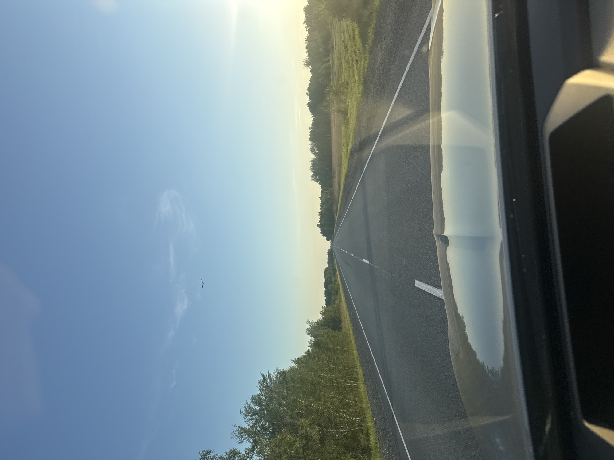 The image depicts a straight asphalt road viewed from the interior of a vehicle, looking forward through the windshield. The scene is set in Tatarsk, Russia, during what appears to be either late afternoon or early morning, indicated by the low sun casting a warm glow on the right side of the frame and subtle reflections on the vehicle's hood.
The road features two lanes, one in each direction, separated by broken white lines and bordered by solid white lines along the shoulders. To the left, a dense line of deciduous trees forms a forest edge, closely paralleling the road. To the right, a wider grassy verge transitions into an open field, beyond which another line of trees is visible in the distance. The sky above is largely clear, a light blue, with a few faint, wispy clouds. A single bird with wings outstretched is visible in flight in the upper left portion of the sky. The hood of the vehicle and a section of the dashboard are visible at the bottom of the image, showing reflections of the sky and environment. No individuals are explicitly visible.