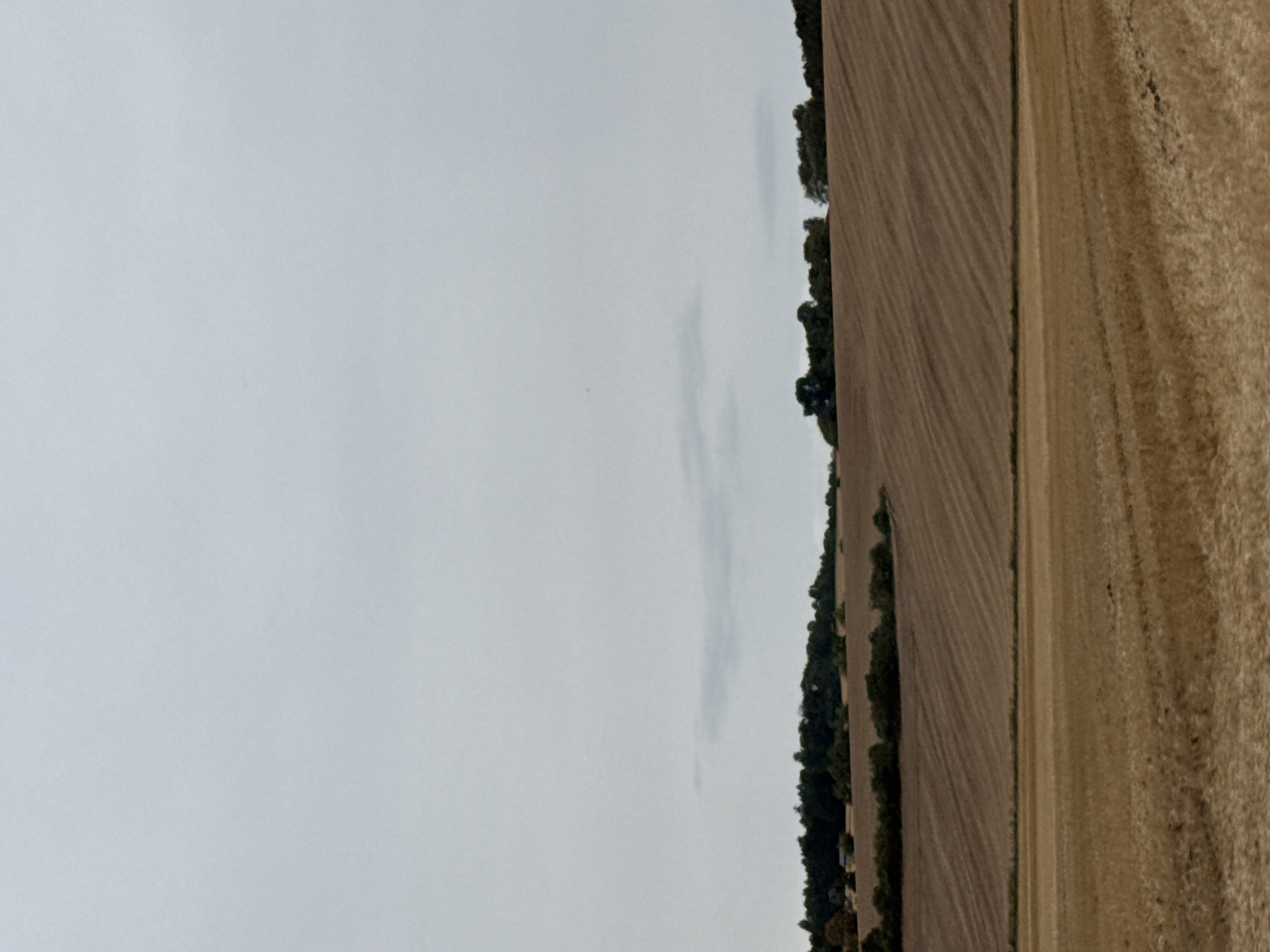 The image shows a rural landscape with a field in the foreground and a treeline on a hill in the background. The sky is overcast. The field in the foreground appears to be recently harvested, with stubble and some cut stalks visible. The field on the hill has rows or furrows running across it. The treeline consists of deciduous trees. The overall impression is one of a rural, agricultural setting. There are no people or animals visible in the image. The location is the city of Hohenstein, Germany.