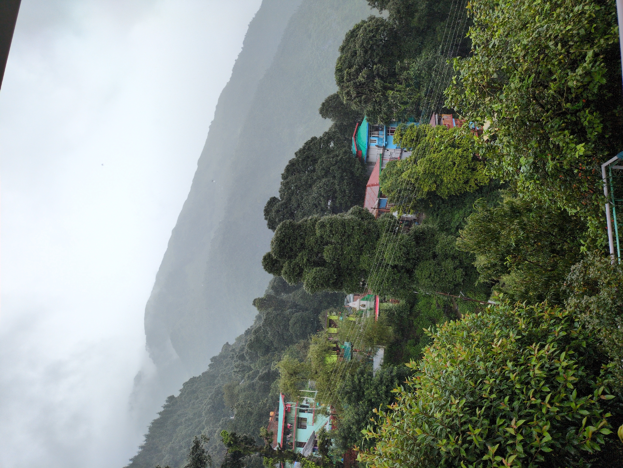 A medium shot captures a rain-slicked hillside in Haini, India, shrouded in mist. Numerous trees, some lush and green, others darker and more distant, cover the steep incline. Several buildings with colorful roofs and balconies are nestled amongst the foliage. In the foreground, a cluster of vibrant green bushes partially obscures the view. The sky is overcast and a thick layer of clouds hangs low over the distant, hazy mountains. Power lines crisscross the scene, a testament to human presence in this natural landscape. The overall impression is one of a serene, damp, and verdant mountain village.
