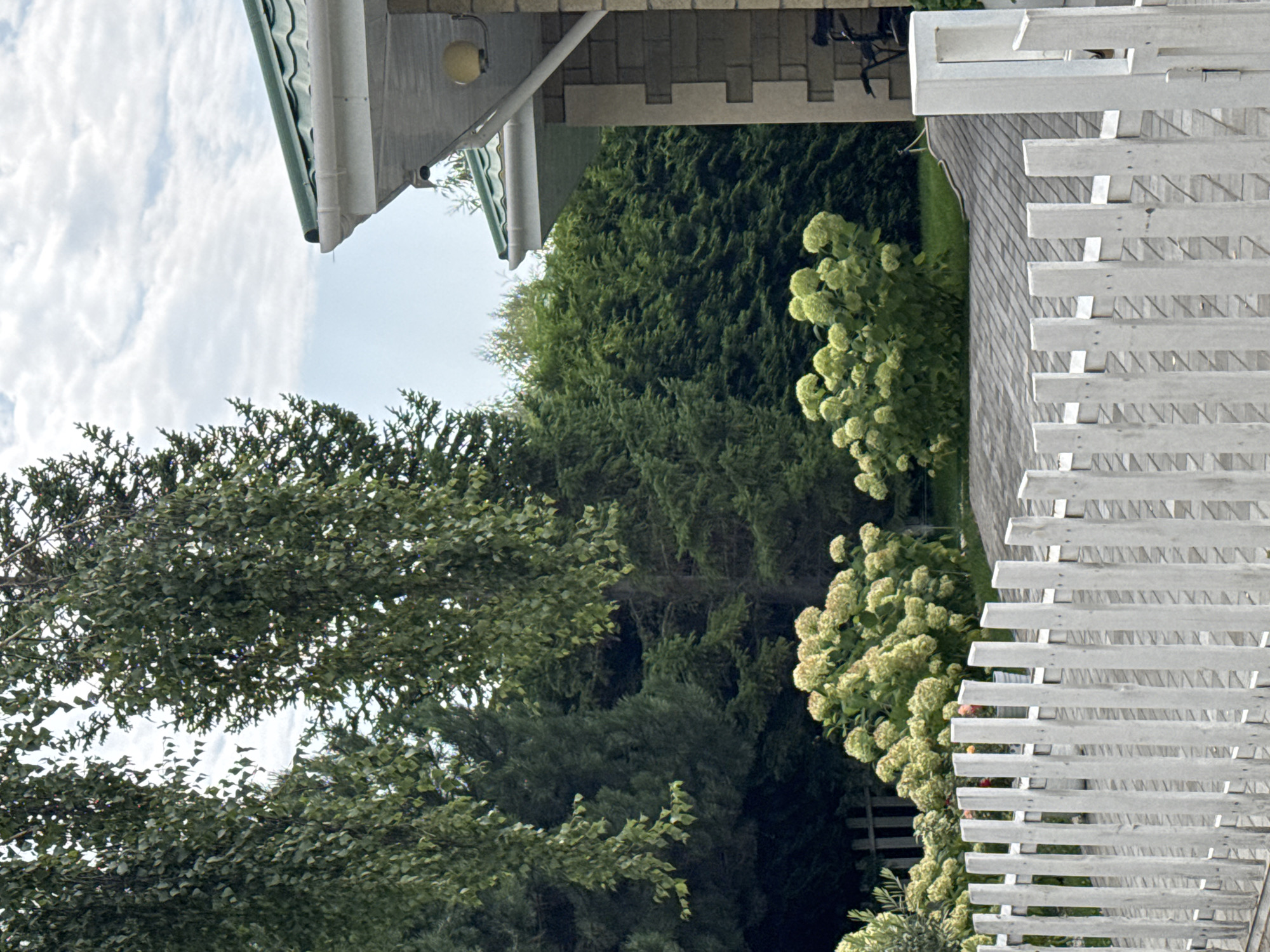 The image depicts a residential yard with a white picket fence in the foreground. Beyond the fence, a paved driveway leads towards a house with a green roof. Lush green trees and bushes, including hydrangea bushes with white flowers, surround the property. The sky is partly cloudy. There are no people visible in the image, but a bicycle is parked near the house. The scene appears to be in the city of Sary-Oy, Kyrgyzstan, suggested by the context.