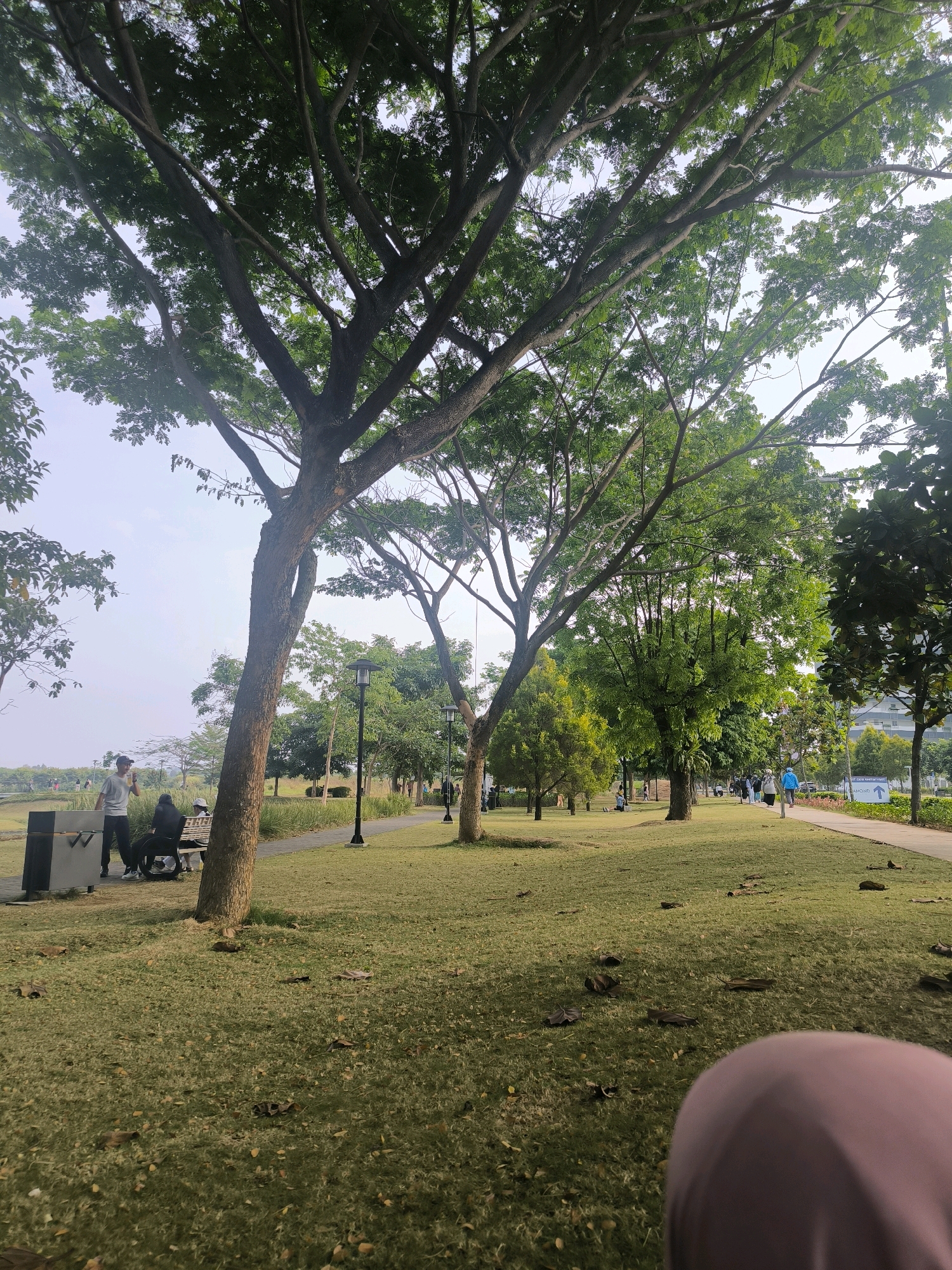 This image depicts a park scene, likely in Bandung City, Indonesia, characterized by lush green grass, mature trees with sprawling branches, and a paved pathway. Several individuals are present, some engaged in leisurely activities. In the foreground, on the left side of the frame, two people are seated on a bench, with one individual standing and holding a drink. Further down the pathway, several other people are walking, suggesting the park is a popular public space. The environment is natural and serene, with the presence of streetlights indicating it may also be utilized in the evening. The image is captured from a low-angle perspective, emphasizing the grandeur of the trees.