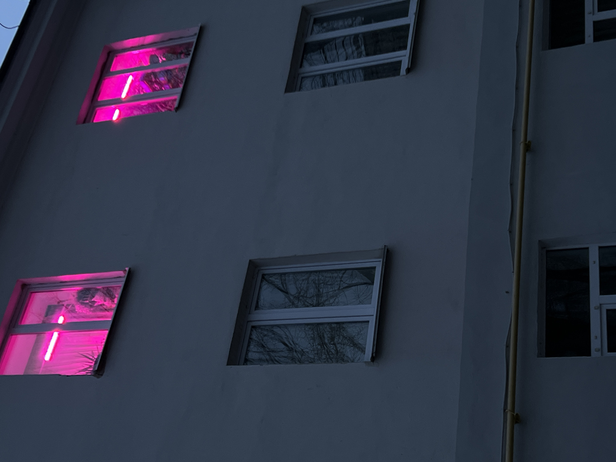 A low-angle shot depicts the facade of a building with multiple windows. Two of the windows exhibit a bright pink glow, possibly from neon lights or colored lighting inside. Other windows reflect a more natural light, possibly the sky or trees. The building's exterior is a muted color, possibly white or light gray, and appears to be in the evening or nighttime due to the dim lighting. A yellow pipe runs vertically along the building's exterior on the right side. Given the specification, the location is Kazan, Russia, but there are no specific architectural markers to further verify the exact address.