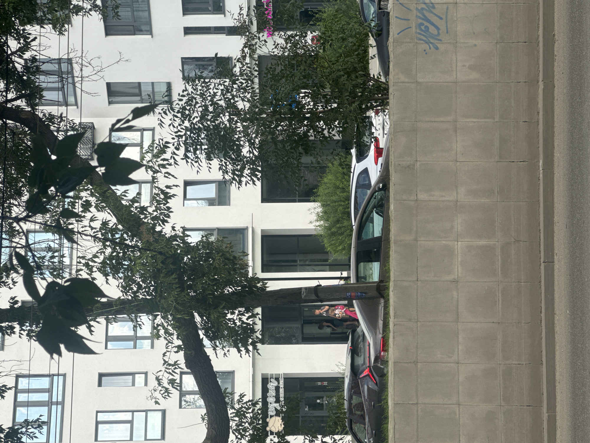In an outdoor urban scene, a modern white building with numerous windows is visible. In front of the building, a tree with a thick, gnarled trunk and dense foliage extends into the foreground, partially obscuring the building. Several cars are parked on the street in front of the building. A low concrete wall separates the street from the area where the cars are parked. The wall has a rough, textured surface and is marked with some blue graffiti. A sidewalk runs along the bottom of the image, adjacent to the street. In the background, two individuals, possibly a woman and a child, are standing near an entrance to the building, which has a sign above it. The overall impression is a busy urban environment with a mix of modern architecture and natural elements.