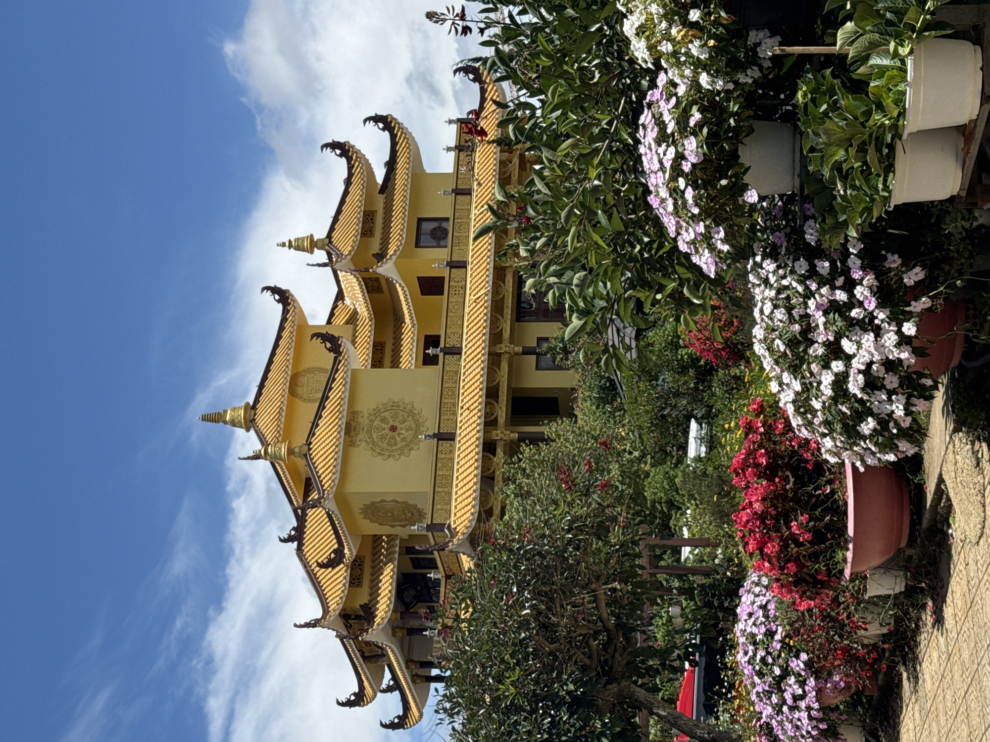 A yellow Buddhist temple with ornate tiered roofs stands against a bright blue sky with wispy clouds. In the foreground, a lush garden is filled with various potted flowering plants, including vibrant pinks, reds, and whites. Green foliage and trees surround the temple and garden. The ground in front of the garden appears to be paved with stone tiles. The scene suggests a serene and well-maintained religious site, likely located in a scenic area of Da Lat, Vietnam, known for its temples and gardens.