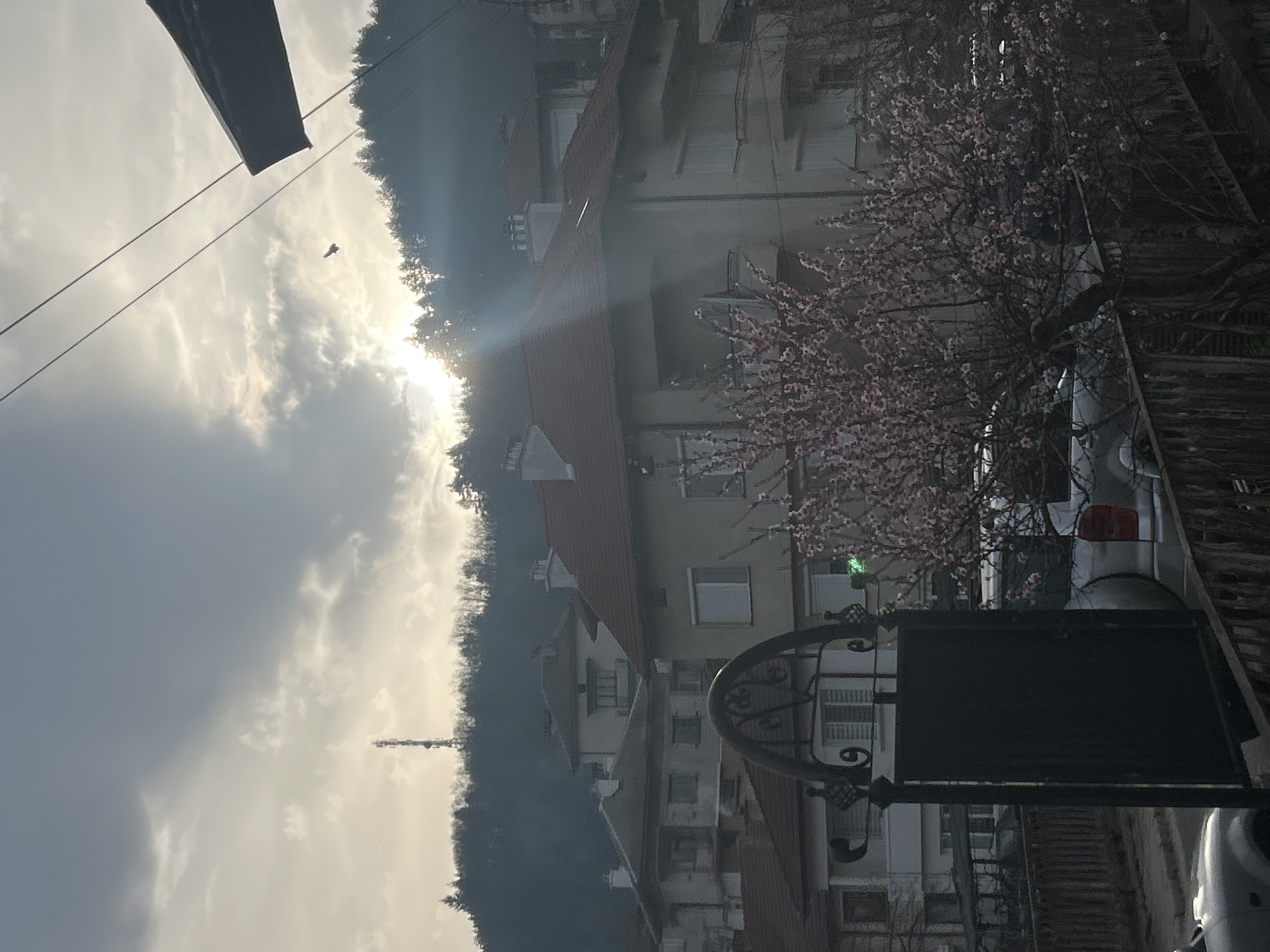 The image shows a view of a residential area in Zlatograd, Bulgaria. The setting is a street with houses on the right side. A blooming tree with pink flowers is prominent in the foreground, partially obscuring a parked silver car. A dark metal sign is also in the foreground. The houses have a light-colored facade and red tile roofs. Beyond the houses is a densely forested hillside shrouded in mist. The sky is overcast with sunlight breaking through the clouds. High-voltage power lines are visible in the upper left corner. In the sky is a bird in flight. A television broadcast tower can be seen in the background.