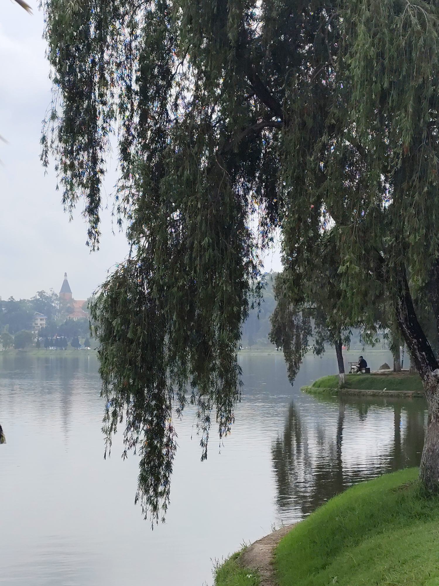 This image depicts a serene lakeside scene in Da Lat, Vietnam, characterized by a soft, diffused light, likely from an overcast sky. The foreground is dominated by the drooping, leafy branches of a large tree, possibly a willow, which cascade into the frame from the top and left, partially obscuring the view. The green leaves exhibit subtle iridescent or shimmering effects, catching the available light.
The calm water of the lake stretches across the mid-ground, reflecting the muted sky, the surrounding trees, and distant elements. On a small, grassy peninsula extending into the lake on the right side, a solitary person is seated on a white bench, facing the water, appearing to be in a moment of quiet relaxation or contemplation.
In the hazy background, across the lake, the outline of a town or cityscape is visible, featuring several buildings. Most notably, a prominent structure with a dark, pointed conical roof stands out, a distinctive architectural feature often associated with Da Lat. The overall atmosphere is tranquil and peaceful, with no specific event unfolding beyond the quiet presence of the person by the water. There is no visible text in the image.