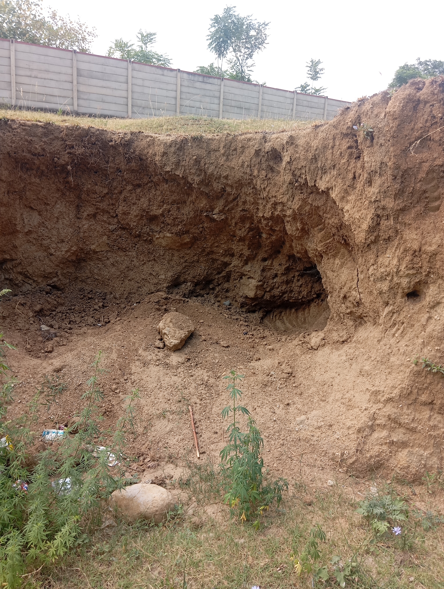 The image shows a large, eroded embankment of soil with a visible cavity or cave-like opening. A concrete fence runs along the top of the embankment, partially obscured by trees. The ground in front of the embankment is covered with sparse vegetation, rocks, and some debris, including white plastic bags. The scene appears to be located in an outdoor, undeveloped area, potentially on the outskirts of a city like Lassan, Pakistan, given the presence of the fence which might demarcate property. There are no people or animals visible in the image. The lighting suggests it is daytime.