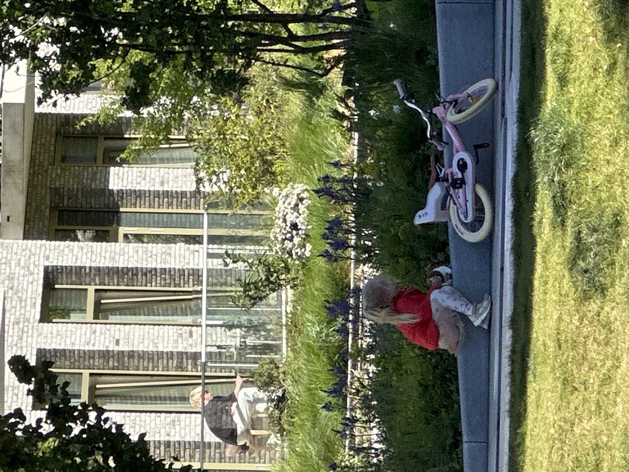 This outdoor image, taken in Amsterdam, Netherlands, depicts a sunny, relaxed scene with two individuals next to a modern building. The photo is oriented vertically. On the left, a multi-story building constructed of light-colored, textured brick with rectangular windows is visible, partially obscured by green trees and foliage. On the right, a lush, bright green grassy area stretches towards the edge of the frame.
A paved path and curb run horizontally across the middle ground, separating the building and its landscaping from the grassy expanse. On this path, in the foreground to the right, a pink child's bicycle with white/cream tires and training wheels lies on its side.
Further to the left along the curb, two people are seated. One individual, with blonde hair, is wearing a vibrant red top and light-colored pants, facing away from the camera. Further back, another person with dark hair, dressed in a dark top and light pants, is also seated. Both appear to be relaxing on the sunny day. The clear, bright sunlight suggests it is daytime, casting visible shadows. The overall atmosphere is tranquil and leisurely. No discernible text is visible on any object.
