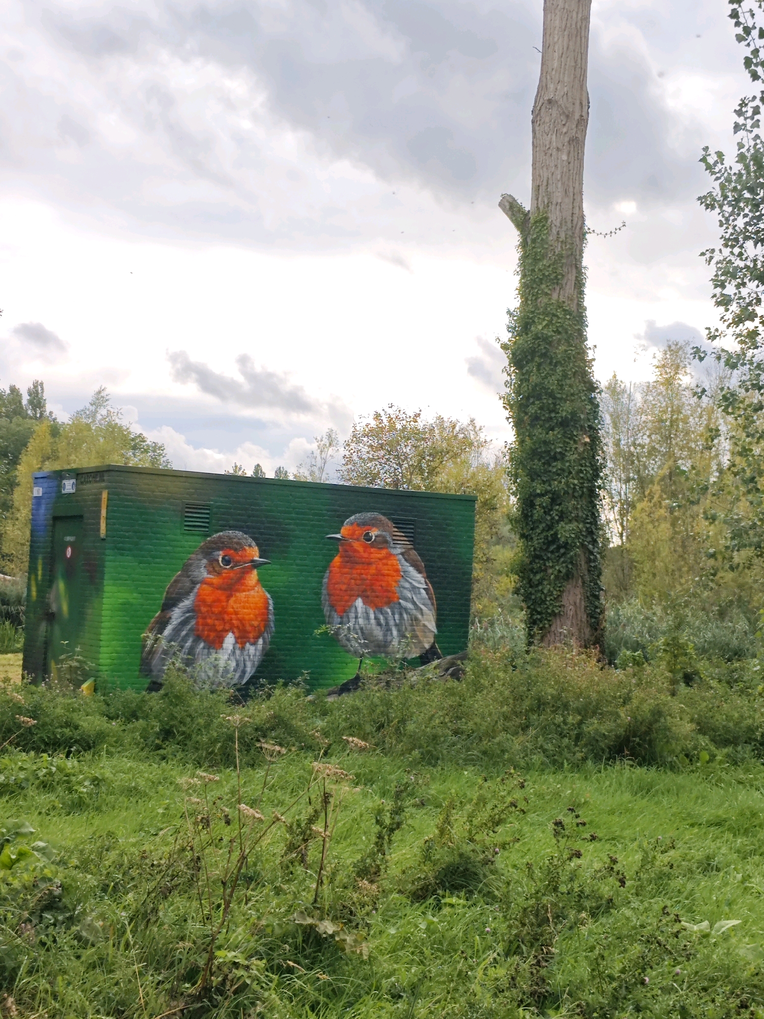 The image depicts an outdoor scene with a green, brick-like structure painted with two large murals of robins. The structure appears to be a small building or container, possibly a public utility shed, with a dark blue door on the left side. The robins, rendered in a realistic style, are positioned on the facade of the building. The building is situated in a grassy area with trees and vegetation in the background. A tall, slender tree covered in ivy stands to the right of the building. The sky is overcast with clouds. This scene is located at a graffiti wall along the canal in the Woensel-Noord district of Eindhoven, Netherlands.