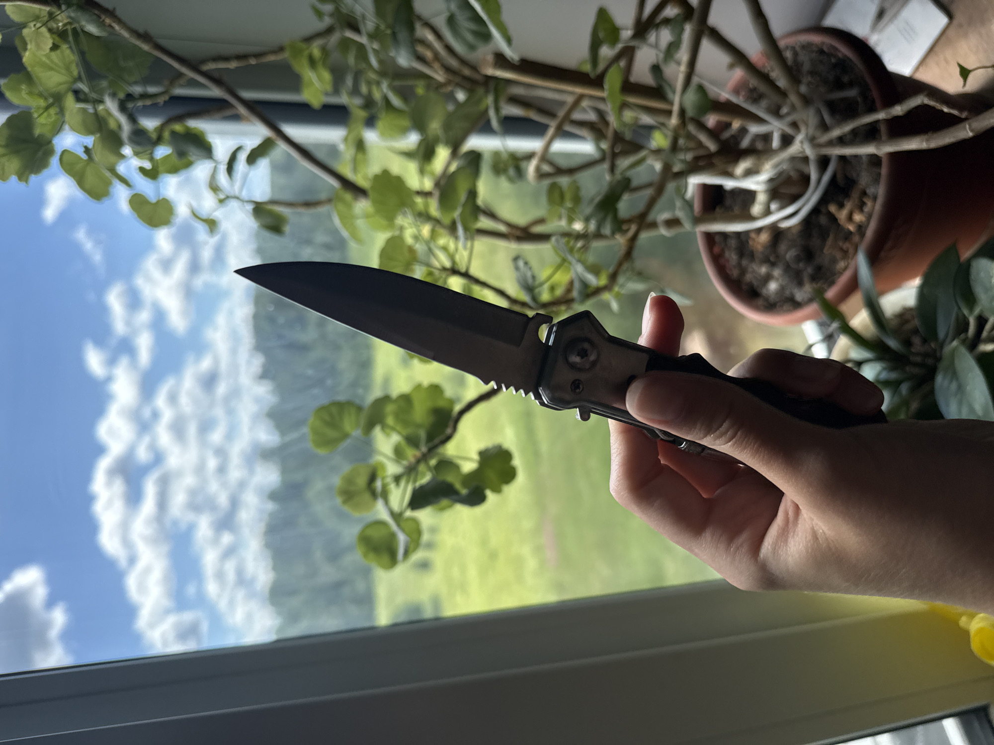 The media file shows a close-up of a person's hand holding a black folding knife. The knife has a partially serrated blade and a silver-colored handle with a dark textured grip. The hand is positioned in front of a window, with the knife blade pointing towards the left and slightly upwards.
Behind the hand and knife, a window reveals an outdoor scene. The view outside includes a bright blue sky with fluffy white clouds, suggesting it is daytime and fair weather. Below the sky, there is a landscape with lush green fields and trees. There are also indoor elements visible, including a potted plant with green leaves and branches on the left side, and another plant with darker green leaves on the right. A portion of a brown terracotta pot is also visible. The setting appears to be indoors, near a window, possibly in a residential space. The lighting suggests it is daytime, likely morning or afternoon, given the brightness of the sky. There are no visible text elements in the image. The overall mood conveyed is neutral, focusing on the objects and the scene.