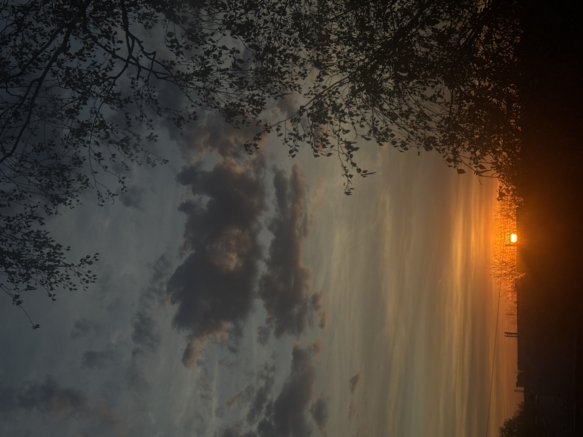 The image depicts a sunset in Nizhny Novgorod, Russia. Silhouetted tree branches frame the top of the shot, contrasting with the colorful sky filled with clouds. The sun is visible on the right, its light partially obscured. In the background, faint outlines of buildings and infrastructure can be seen through the haze.