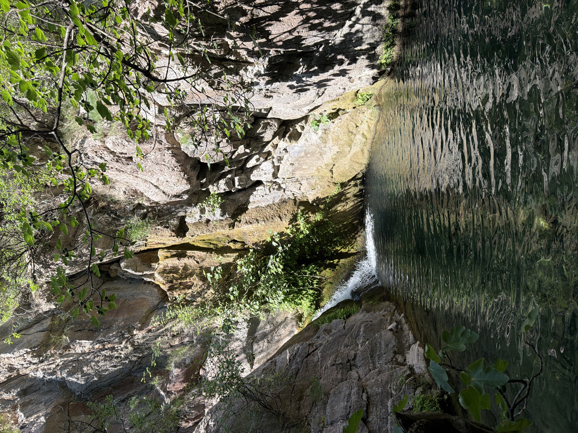 The image depicts a waterfall in a rocky environment, potentially located near Bratešići, Montenegro, given the prompt's suggestion. The water cascades from a higher point into a pool of water, creating ripples on the surface. The surrounding area consists of rocks, some of which are covered in moss or greenery. Tree branches and leaves are visible in the foreground, partially obscuring the view. The lighting suggests it is daytime, with shadows cast on the rocks.