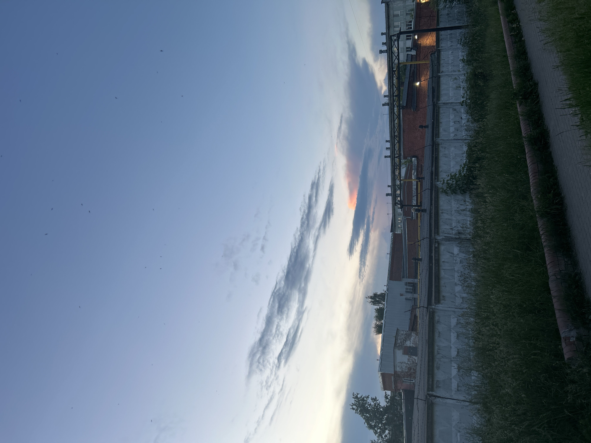 The image shows an outdoor scene at dusk or dawn, likely in the city of Chaikovsky, Russia. In the foreground, there is a paved walkway bordered by tall, green grass and a low brick structure. Behind the grass, a tall, rough concrete fence runs horizontally across the frame, topped with barbed wire. Beyond the fence, an industrial or commercial building complex is visible. The buildings are constructed with brick and concrete, featuring various pipes, structures, and lights that are partially illuminated. Some trees are scattered throughout the area. The sky above is a pale blue, with wispy clouds tinged with pink and orange from the setting or rising sun. Numerous small, dark specks are scattered across the sky, which may be birds or insects.