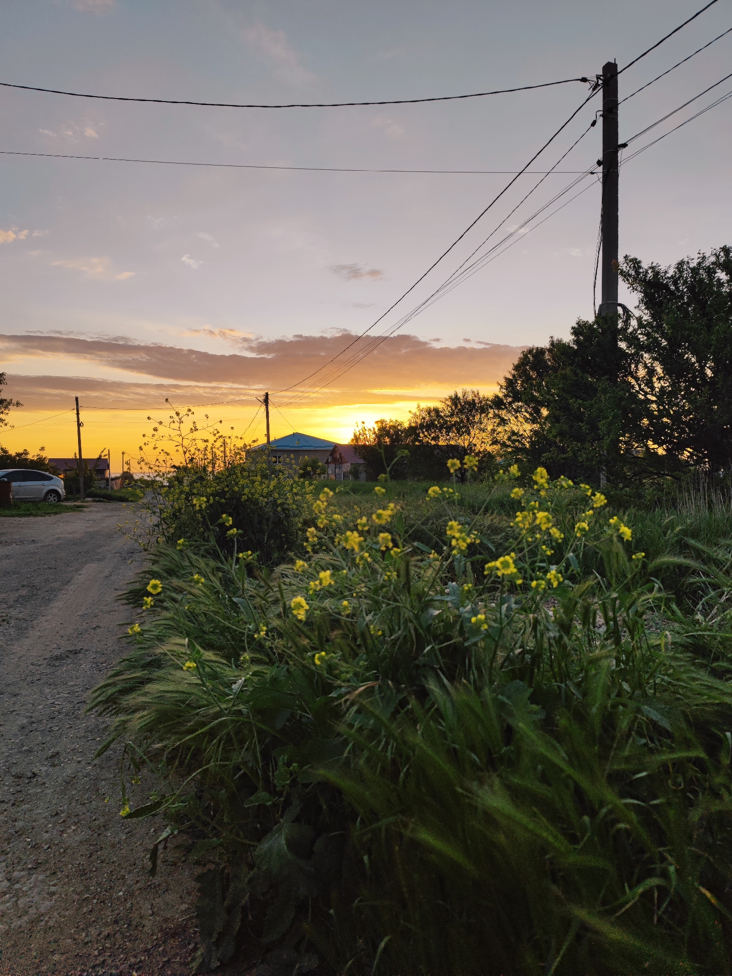 The image captures a rural scene in Sennoy, Russia, at sunset. A dirt road runs alongside a dense thicket of green grass and yellow wildflowers. A parked silver car is visible on the left, partially obscured by vegetation. Overhead, electrical wires stretch across the sky, supported by utility poles, one prominently positioned on the right edge of the frame. The sunset paints the sky in shades of orange and yellow, with some clouds scattered. A building with a blue roof is slightly visible in the background, nestled among trees.