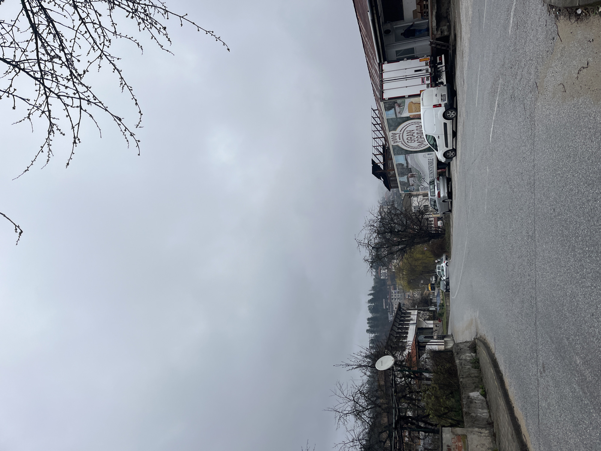 The image depicts a street scene in Srednogortsi, Bulgaria, on a heavily overcast day. A wet asphalt road occupies the right side of the frame, with a curb separating it from a line of buildings and vegetation on the left. Several vehicles, including a white van with "GRAN MORAVIA" printed on its side, are parked along the roadside. Buildings of varying heights are visible in the background, receding into the fog-obscured hillside. Bare tree branches are visible in the foreground on both sides of the image, adding a stark contrast to the muted tones of the cityscape. A satellite dish is attached to one of the buildings on the left. No people are clearly visible.