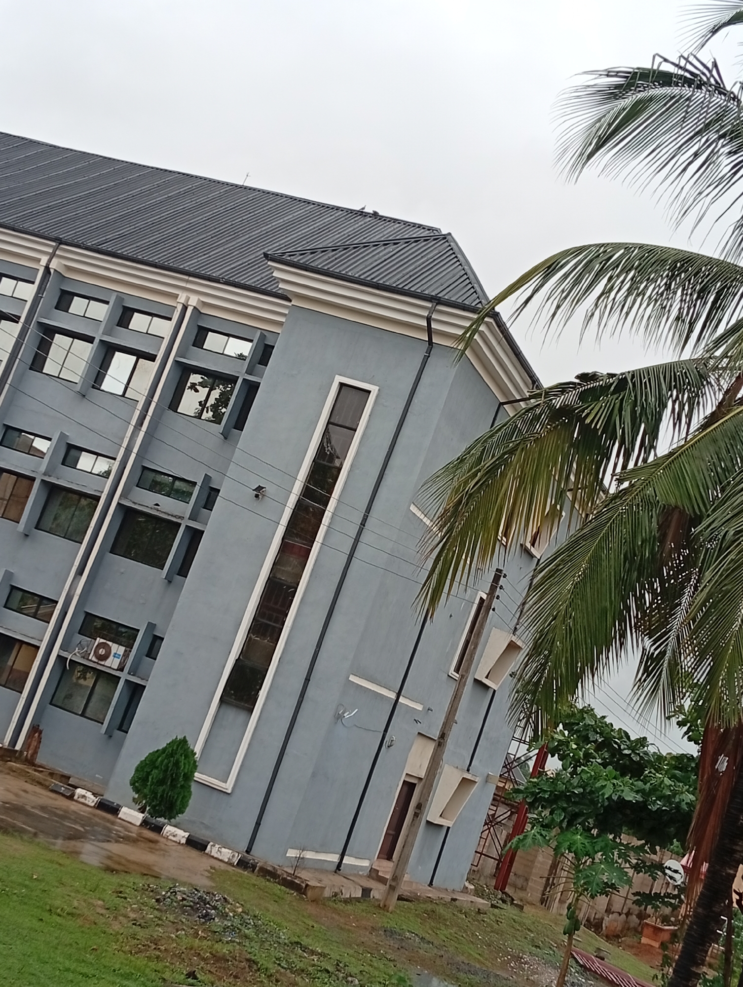 The image depicts a modern, multi-story building with a gray facade and a dark, corrugated roof. The building features numerous windows of varying sizes, some appearing to be tinted. An air conditioning unit is visible on one of the lower floors. In the foreground, a small, conical evergreen tree stands next to a paved area with a decorative border. The ground is covered in lush green grass, and a few scattered rocks are visible. Palm fronds from a nearby tree overhang the building and the frame of the image, suggesting a tropical or subtropical environment. The sky is overcast and pale. The overall scene appears to be an exterior shot of a building in a well-maintained urban or suburban setting.