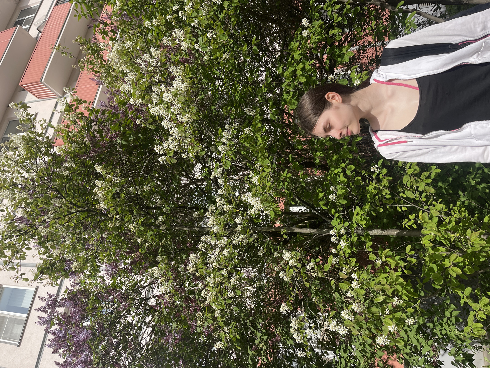 The image depicts a young woman standing near a flowering tree. She is fair-skinned with brown hair pulled back, wearing a black tank top and a white hoodie with black and pink accents. She is looking down. The flowering tree features both white and purple blossoms and is positioned in front of a building with red-trimmed balconies. The location appears to be in Saint Petersburg, Russia, based on the architectural style of the building. The photo seems to have been taken outdoors during daylight hours.