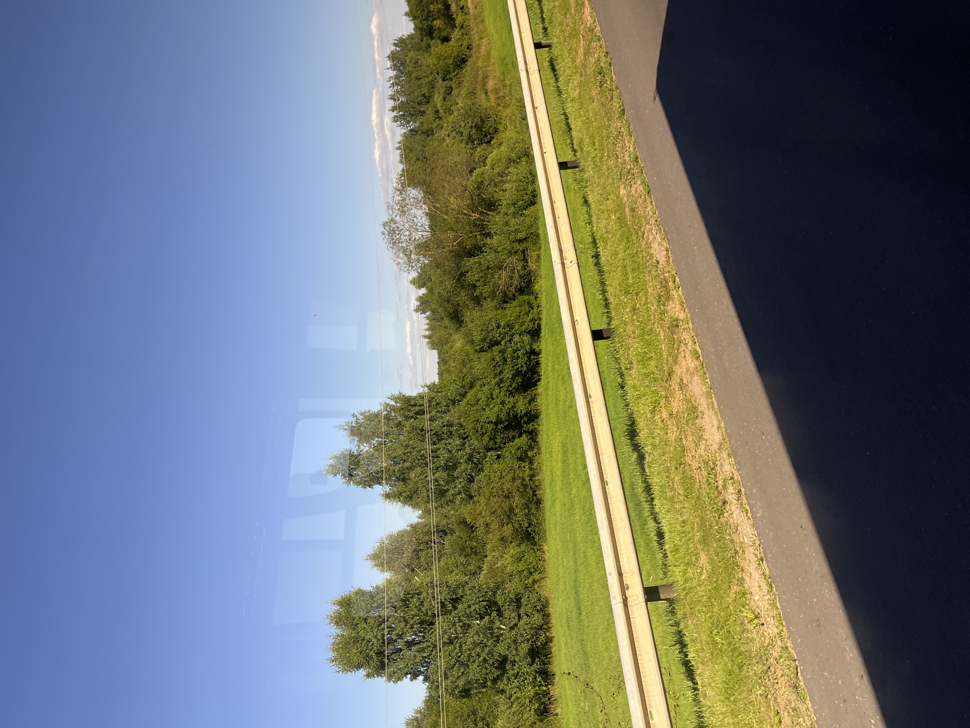 This is an eye-level, medium shot of a rural landscape in Мядзельскі сельскі Савет, Belarus. The scene depicts a bright, sunny day with a clear blue sky. In the foreground, a portion of a dark asphalt road is visible on the right, casting a long shadow across the scene. A white metal guardrail runs horizontally across the middle ground, separating the road from a lush green grassy field. Beyond the field, a dense line of various green trees and bushes stretches across the horizon, with taller trees, including birches, prominent on the left side of the frame. The overall impression is one of a peaceful, natural environment. There are no people or animals present in the image.