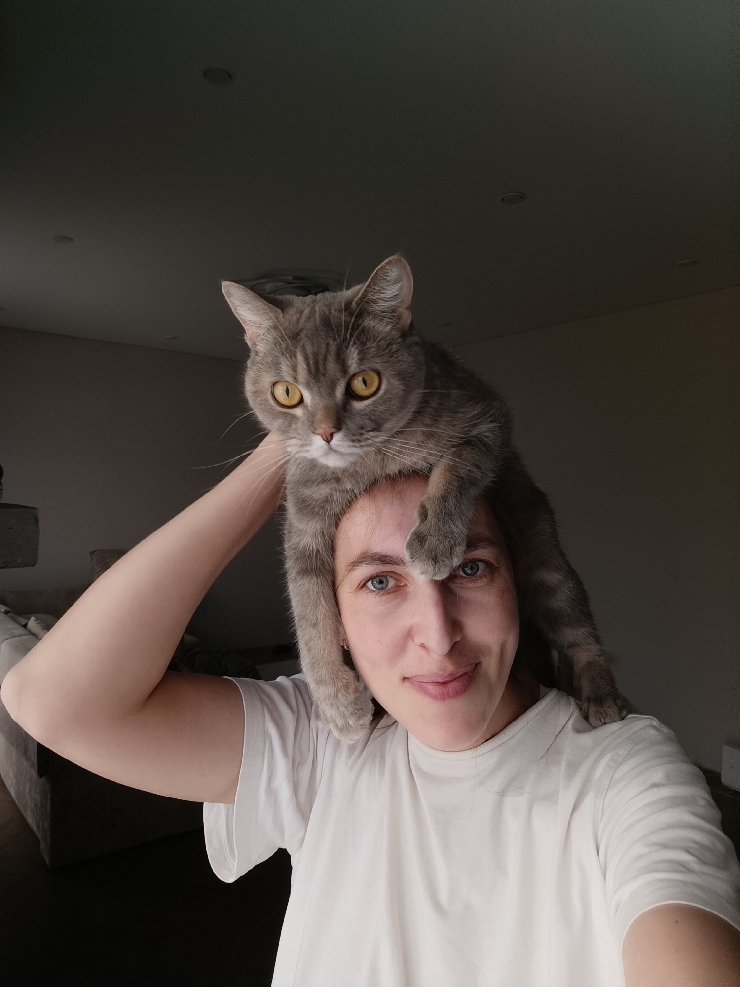 A woman with blue eyes and a slight smile poses for a selfie, with a grey tabby cat perched on her head. The woman is wearing a white t-shirt. The cat has yellow eyes and is looking directly at the camera. They are indoors in a dimly lit room. In the background, part of a couch can be seen. There is no indication of the city of Chaikovsky, Russia.