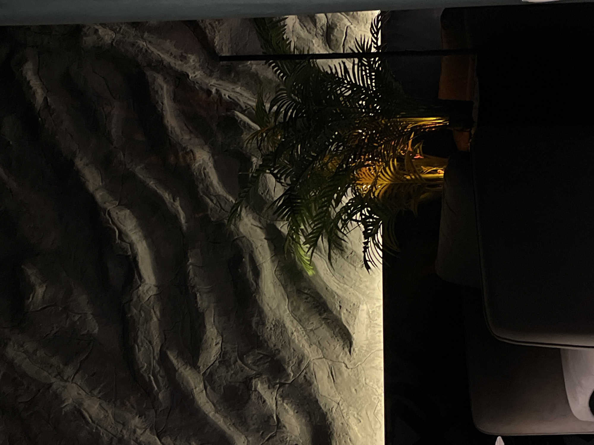 This image, captured in Chaikovsky, Russia, presents a dimly lit indoor scene focused on textured surfaces and a plant. The dominant feature is a textured wall on the left, resembling natural rock or rough concrete, with deep, undulating grooves and crags that create a rugged, organic pattern. This wall is illuminated by an unseen light source, casting pronounced shadows that enhance its three-dimensional quality, and a vertical strip of brighter light on its right edge.
In the mid-ground, a lush, leafy plant, likely a type of palm or fern, grows upwards, its dark green fronds partially obscuring the textured wall. Portions of the plant's foliage are bathed in a warm, yellowish light, making them glow with an amber hue and highlighting their intricate structure, while other parts remain in shadow.
To the right, dark, cushioned furniture, possibly the armrest and back of a sofa or chair, occupies a significant portion of the frame. The furniture's dark upholstery blends into the deep shadows of the background, with only subtle reflections of light indicating its form.
The scene conveys an atmospheric ambiance, typical of a nighttime interior setting, perhaps a restaurant, lounge, or a home with accent lighting. There are no people visible, nor is there any discernible text. The composition emphasizes the interplay of light and shadow, highlighting textures and forms within a seemingly natural-inspired indoor environment.