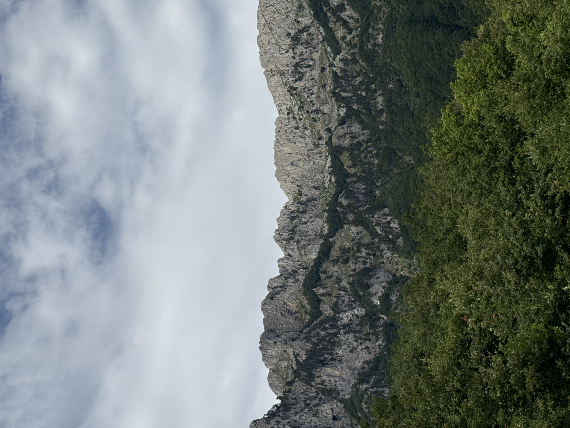 The image shows a landscape view of rugged, rocky mountains in the city of Dragovića Polje, Montenegro. The mountains are covered with dense green forests on their lower slopes, transitioning to bare rock faces higher up. Above the mountains, a cloudy sky with patches of blue is visible. The foreground consists of a thick canopy of green trees. There are no people or animals visible in the image. The scene depicts a natural, mountainous environment under an overcast sky.