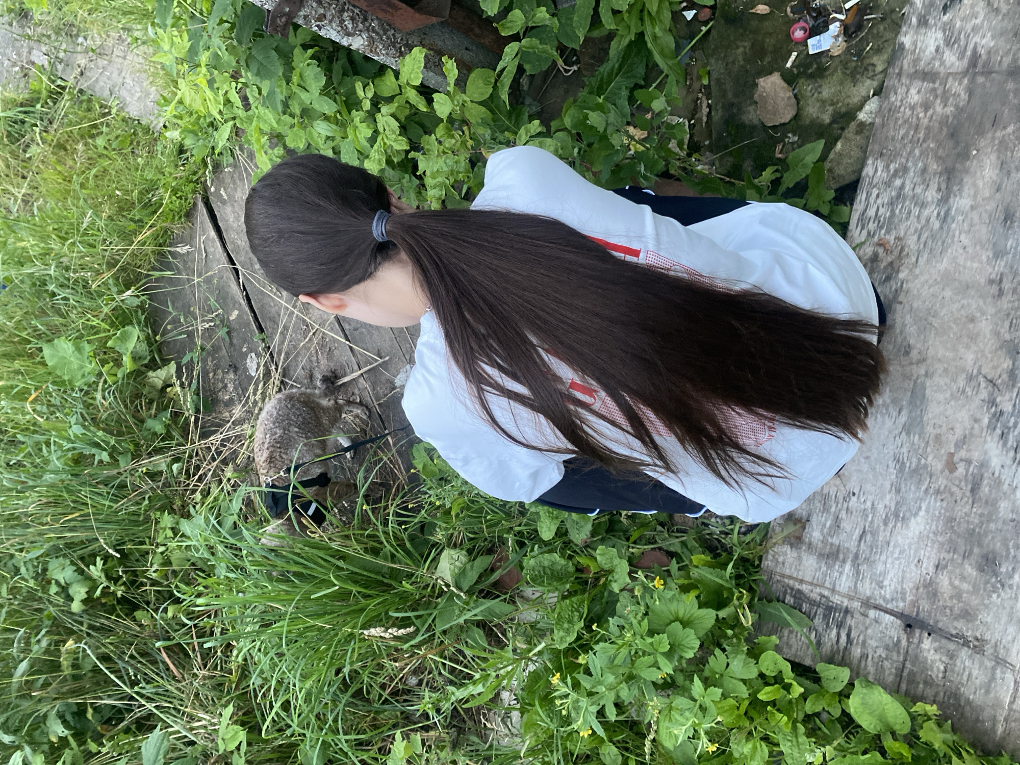 This media file shows a close-up, high-angle view of a person with long, dark hair tied in a ponytail, wearing a white shirt with red accents. The person is facing away from the camera, looking down towards the ground. To the left of the person, a small, fluffy, grey animal, possibly a rabbit or a guinea pig, is visible. The animal is wearing a black harness and is on a leash. Both the person and the animal are in an outdoor, natural setting. Lush green grass and various plants, some with small yellow flowers, surround them. The ground consists of weathered wooden planks and a patch of earth with some debris. The lighting suggests it is daytime, possibly late afternoon or early evening, with soft, natural light. The overall scene appears peaceful and casual, indicating a moment of interaction between the person and the animal outdoors. There is no visible text in the image.