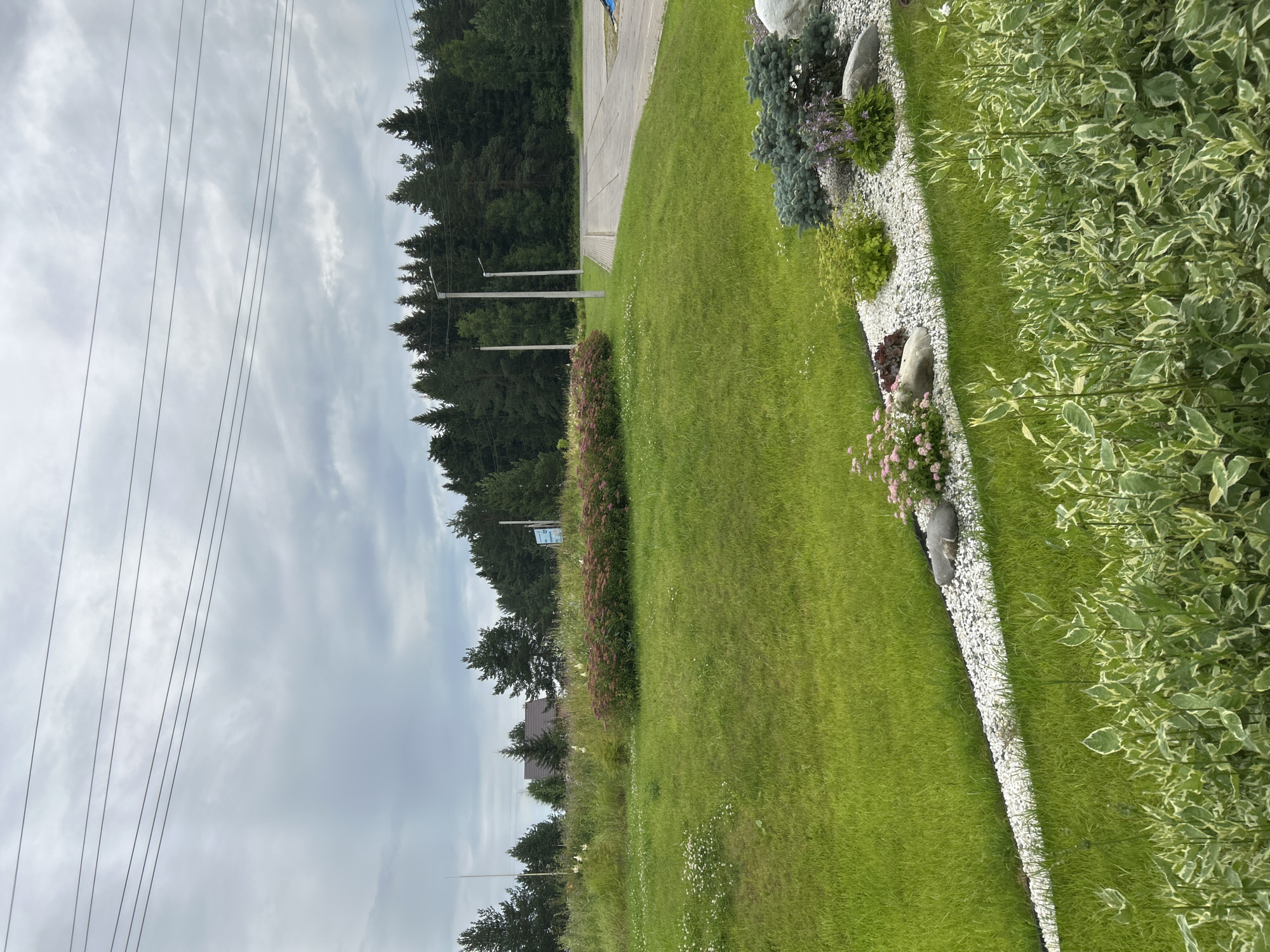The image depicts a landscape scene with a lush green lawn in the foreground and middle ground. A winding pathway of white gravel cuts diagonally across the lawn, bordered by small plants and rocks. In the background, a dense forest of evergreen trees stands against a cloudy sky. Several power lines are visible stretched across the upper portion of the frame. Further back, a building with a dark roof is nestled amongst the trees. The overall setting suggests an outdoor area, possibly a park or a residential property in a rural or suburban environment. The image does not contain any people or visible actions. The location is identified as Kassiny, Russia.