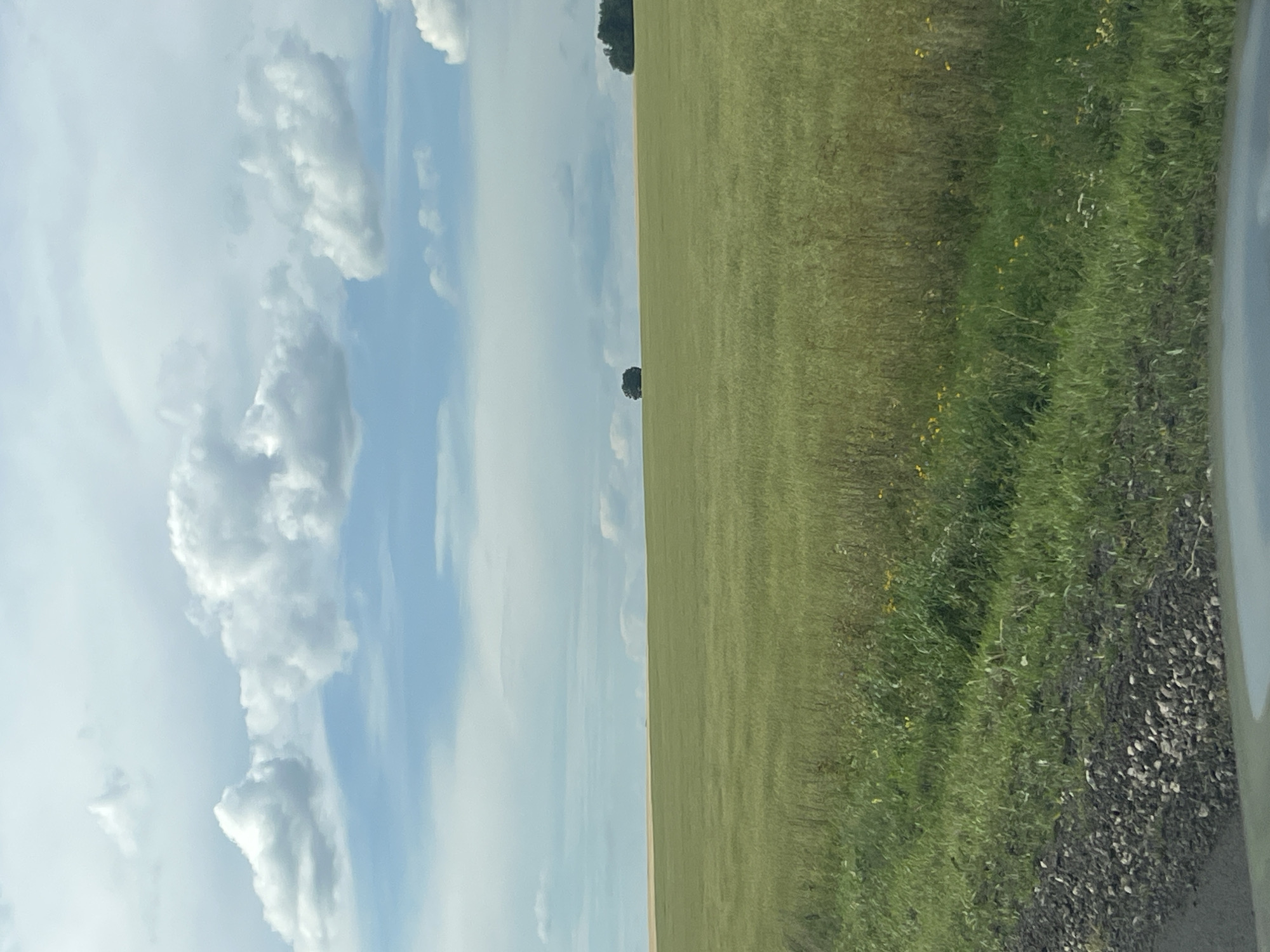 An outdoor, horizontal, eye-level medium shot shows a vast expanse of green fields under a cloudy sky in Suvorovka, Russia. The fields are predominantly a uniform green, suggesting a mature crop or tall grass. A gravel road is visible in the lower left corner. A solitary tree stands in the distance, positioned in the center of the frame, surrounded by the vast fields. To the right of the solitary tree, a darker cluster of trees forms a treeline on the horizon. The sky is filled with a mix of white and gray clouds, with patches of blue sky visible between them. The lighting suggests a bright, possibly overcast day.
