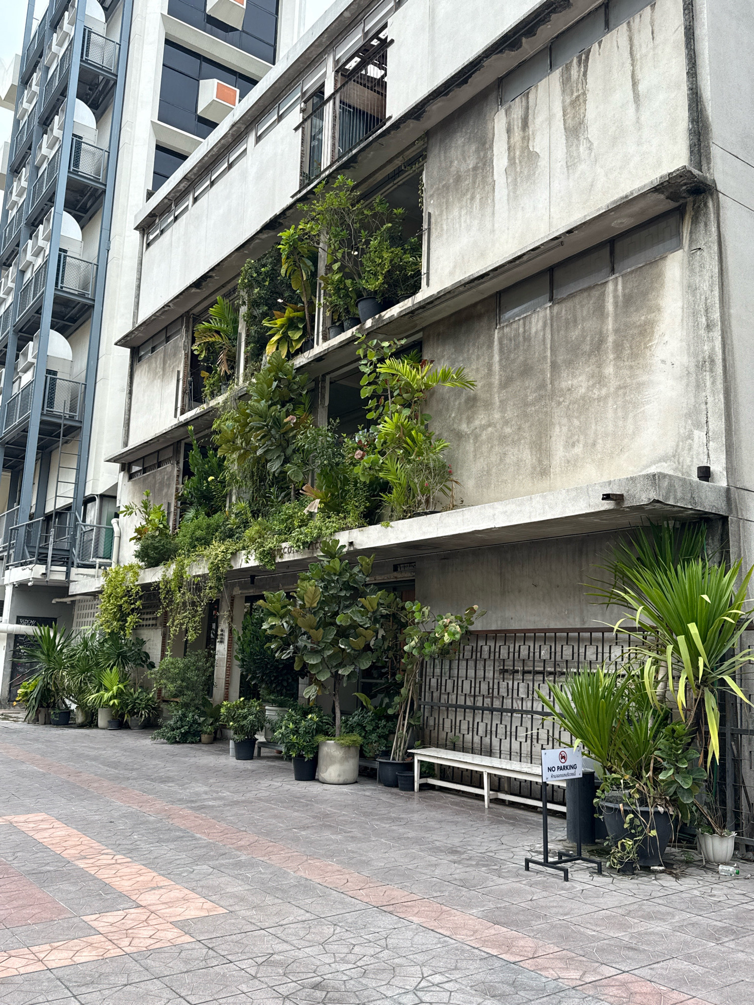 The image depicts the exterior of a multi-story building in Bangkok, Thailand, characterized by its Brutalist architectural style with raw concrete surfaces and exposed structural elements. The building features several balconies and open-air levels that are densely planted with a variety of lush green vegetation, creating a striking contrast between the organic plant life and the harsh, industrial aesthetic of the concrete structure.
On the left side of the image, a contrasting modern building with a metal facade and repeated balconies is visible. The foreground is a paved walkway with a repeating geometric pattern of grey and reddish-pink tiles. In front of the concrete building, a metal fence with a repeating square motif separates the walkway from the building's ground level. A white bench is placed against this fence, and to its right, a black signpost with a white circular sign indicating "NO PARKING" in English and Thai script. Various potted plants of different sizes and species are scattered throughout the scene, adding to the abundance of greenery. The overall impression is one of a space that is integrating nature into an urban, concrete environment.