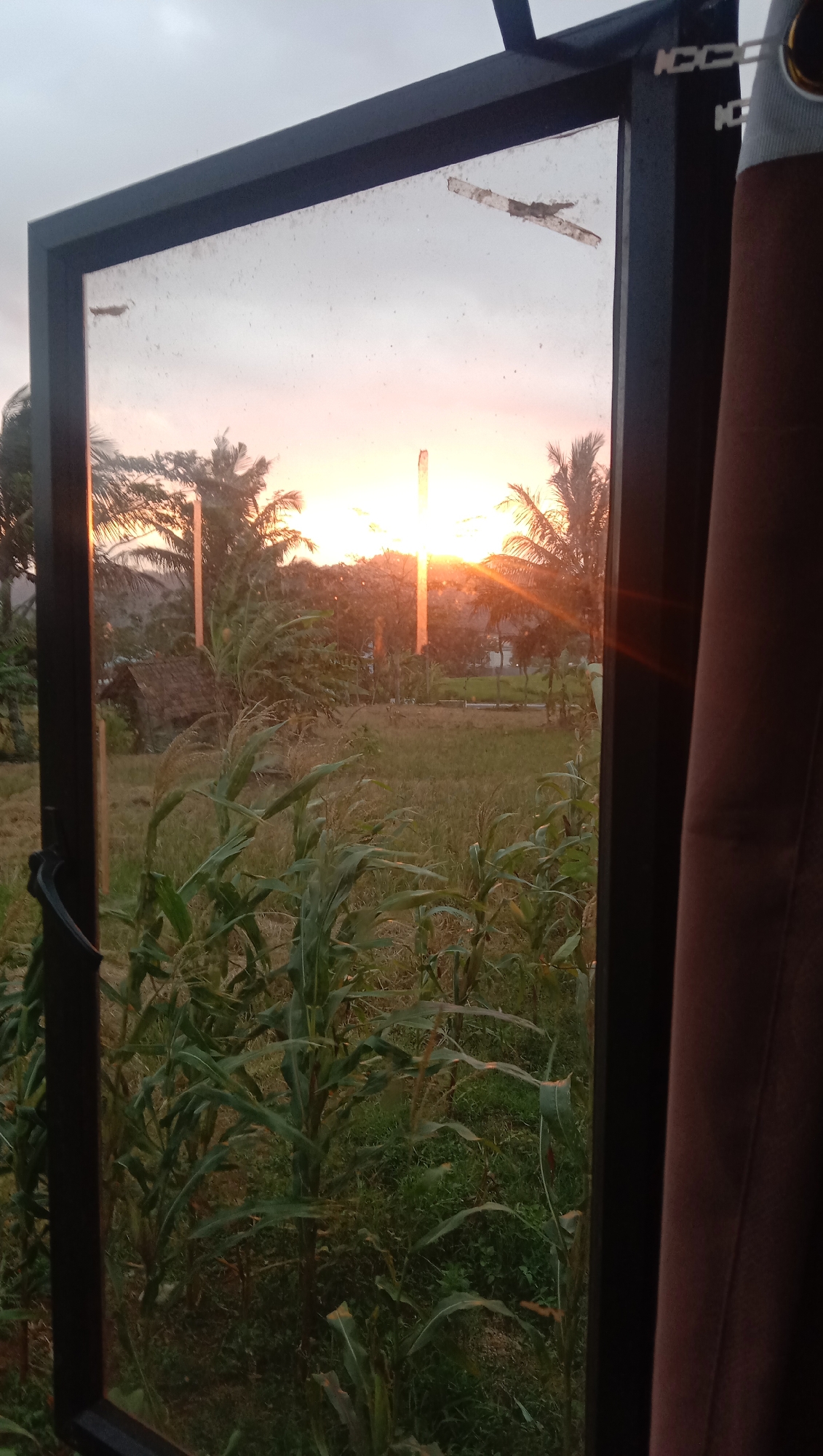 A vertical, medium shot captures a sunset view through a window with a dark frame, looking out onto a rural landscape in Karangmangu, Indonesia. The window glass is dusty and has several small, dark debris fragments adhered to it. The foreground is dominated by tall, green corn stalks. In the mid-ground, a small, traditional hut with a thatched roof is visible amidst dry grass and some vegetation. The background reveals a field extending towards a line of trees, including palm trees, silhouetted against a sky illuminated by a bright, low-hanging sun. The sun's rays create a strong lens flare effect, with a vertical beam of light piercing through the scene. To the right of the frame, a brown curtain hangs partially obscuring the view. The overall impression is a serene, rustic scene at dusk.