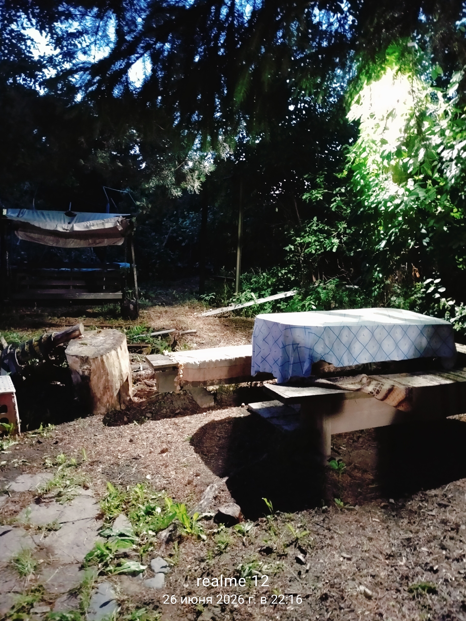 This image depicts an outdoor scene in a wooded area, likely a backyard or campsite, in Novoe, Russia. The time of day appears to be evening, given the low light and the presence of artificial illumination from the right side of the frame. The setting is rustic, with a prominent tree stump and logs in the foreground, surrounded by scattered wood chips and some greenery.
In the mid-ground, a picnic table is covered with a blue and white checkered tablecloth, suggesting a recent meal or preparation for one. To the left, a rustic wooden structure, possibly a bench or a canopy, is visible. The background is filled with dense foliage and trees, with a bright light source illuminating the leaves on the right, creating a dappled effect. The overall atmosphere is tranquil and natural, with a hint of a cozy outdoor gathering.
Visible text in the lower right corner reads "realme 12" followed by a date and time in Russian: "26 июня 2026 г. в 22:16" (June 26, 2026 at 10:16 PM). This indicates the device used to capture the photo and the date/time it was taken. There are no people visible in the image. The weather appears to be clear, suitable for outdoor activities.