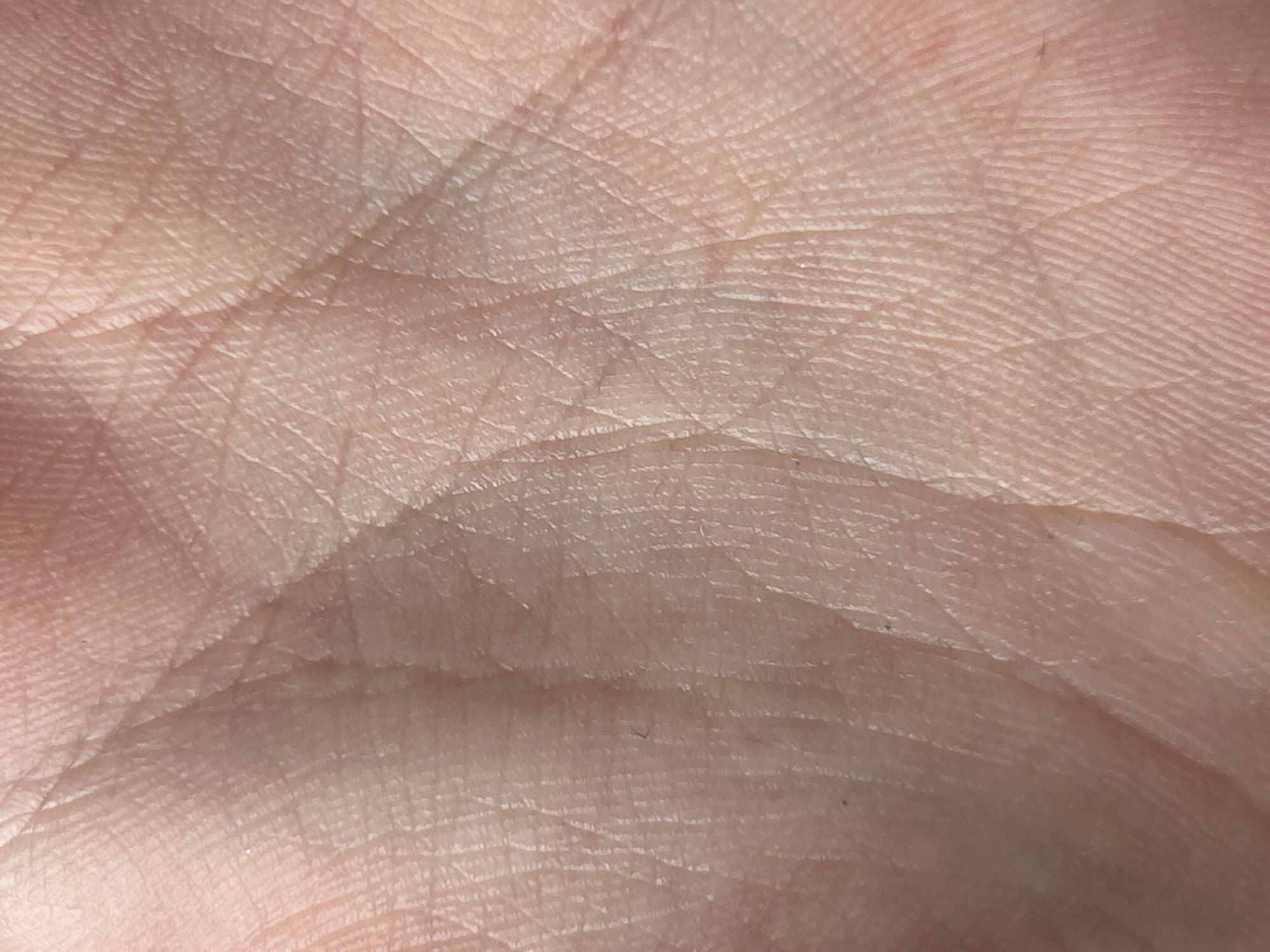 This is a close-up, high-angle shot of a human palm. The skin is fair and shows numerous fine lines and creases, indicating the natural texture of the palm. The lighting highlights the ridges and valleys of the skin, creating a subtle play of light and shadow. There are no discernible objects, people, or actions depicted in the image. The background is uniform and out of focus, emphasizing the detailed texture of the palm. The scene is abstract and lacks any environmental context, making it impossible to determine its location within a city.
