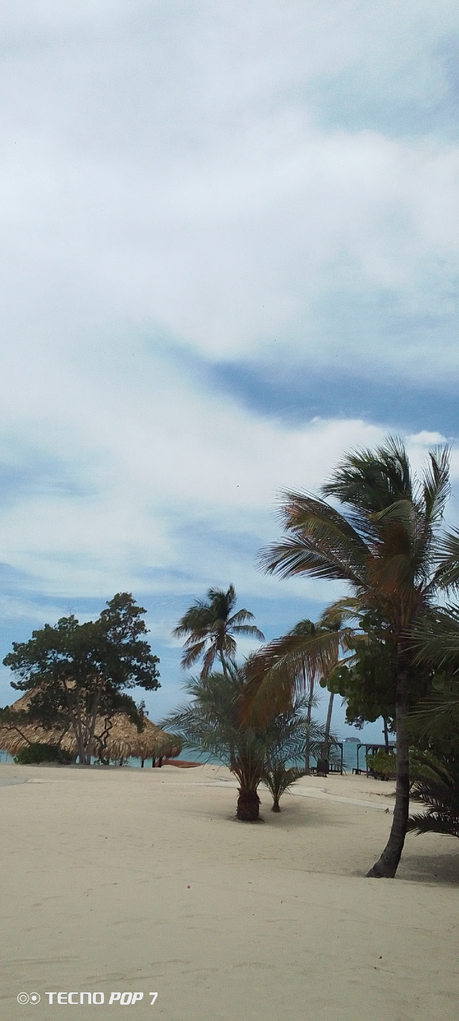 The image depicts a tropical beach scene in Pedro González, Venezuela. The foreground consists of a sandy beach with sparse vegetation, including palm trees. In the midground, there's a thatched-roof structure partially shaded by a tree. The background shows a partly cloudy sky, suggesting an open, coastal environment. The scene evokes a tranquil, natural setting typical of a beach location.