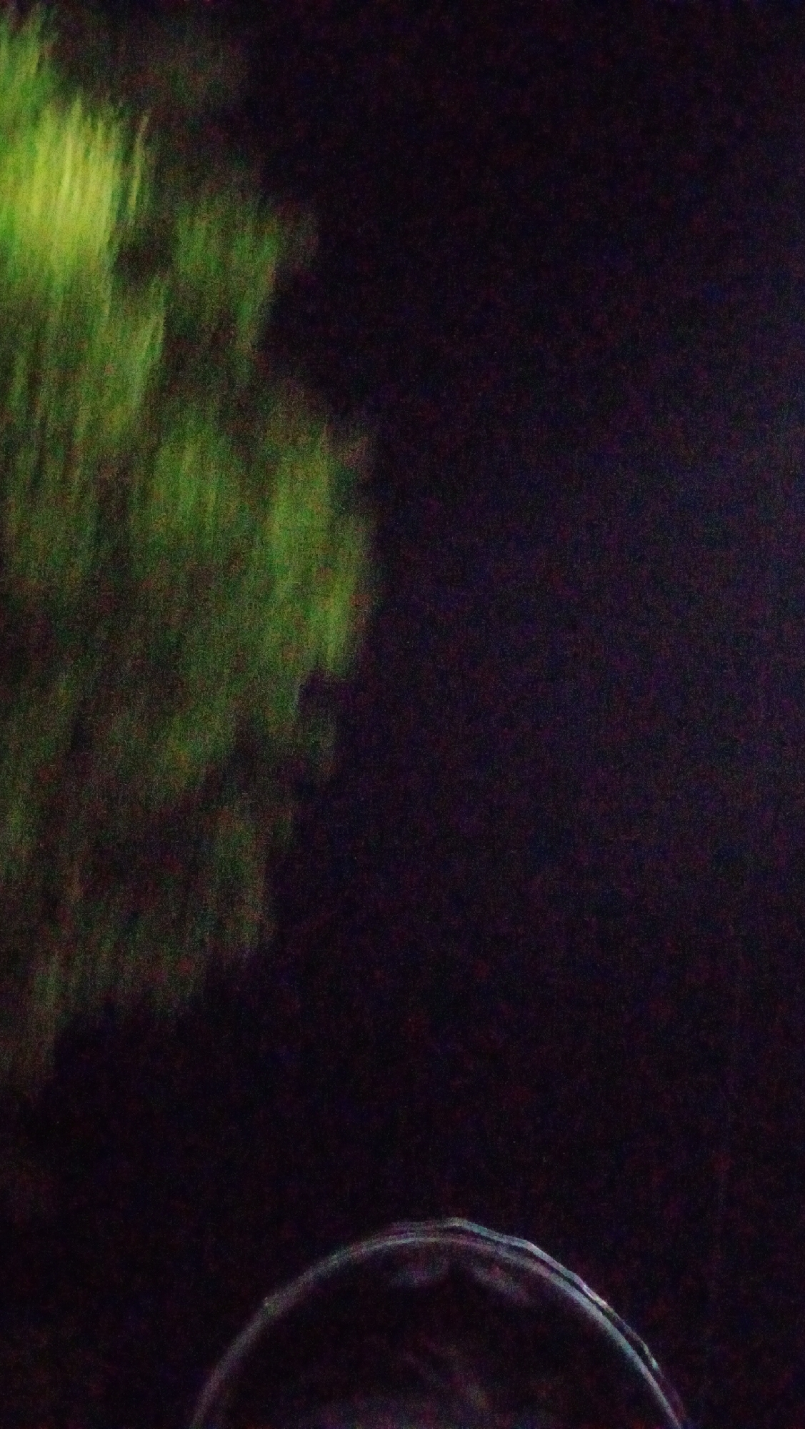 The image shows a blurry, dark scene with a patch of blurred green foliage on the left. At the bottom of the image, a portion of a shiny, curved surface is visible, reflecting some light and colors. The overall impression is of a low-light photograph with significant motion blur. The location in Kuta, Indonesia, is not discernible from the visual information provided.