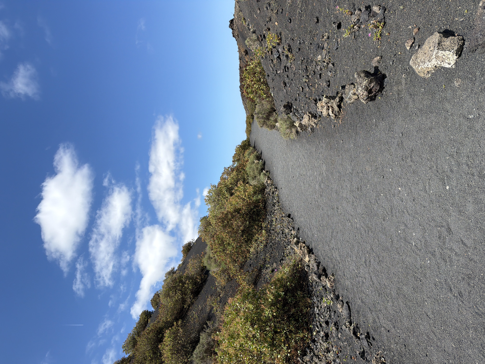 This image captures a path winding through a volcanic landscape under a bright blue sky. The path itself is dark, composed of what appears to be fine black volcanic gravel or sand, and extends into the distance, suggesting a hiking trail.
On both sides of the path, the terrain is characterized by dark, porous volcanic rock and soil. Sparse, resilient scrub vegetation, a mix of green and earthy brown, grows on the slopes and banks. On the immediate left, the land slopes gently upwards, covered in this dark rock and vegetation. On the right, the terrain appears higher and more rugged, with larger, light-colored volcanic rocks scattered amidst the dark ground and low-lying bushes. A few small pink flowers are visible among the vegetation on the right side.
The sky is a vibrant, clear blue with several scattered white cumulus clouds, indicating fair weather. A faint white contrail from an aircraft is visible in the upper left quadrant of the sky. The scene is brightly lit, suggesting daytime, likely mid-morning or early afternoon, with no harsh shadows. There are no people visible, and no discernible activity is taking place within the frame beyond the existence of the path. No text is visible in the image. The volcanic characteristics are consistent with the provided location context of Tías, Spain, on the island of Lanzarote.