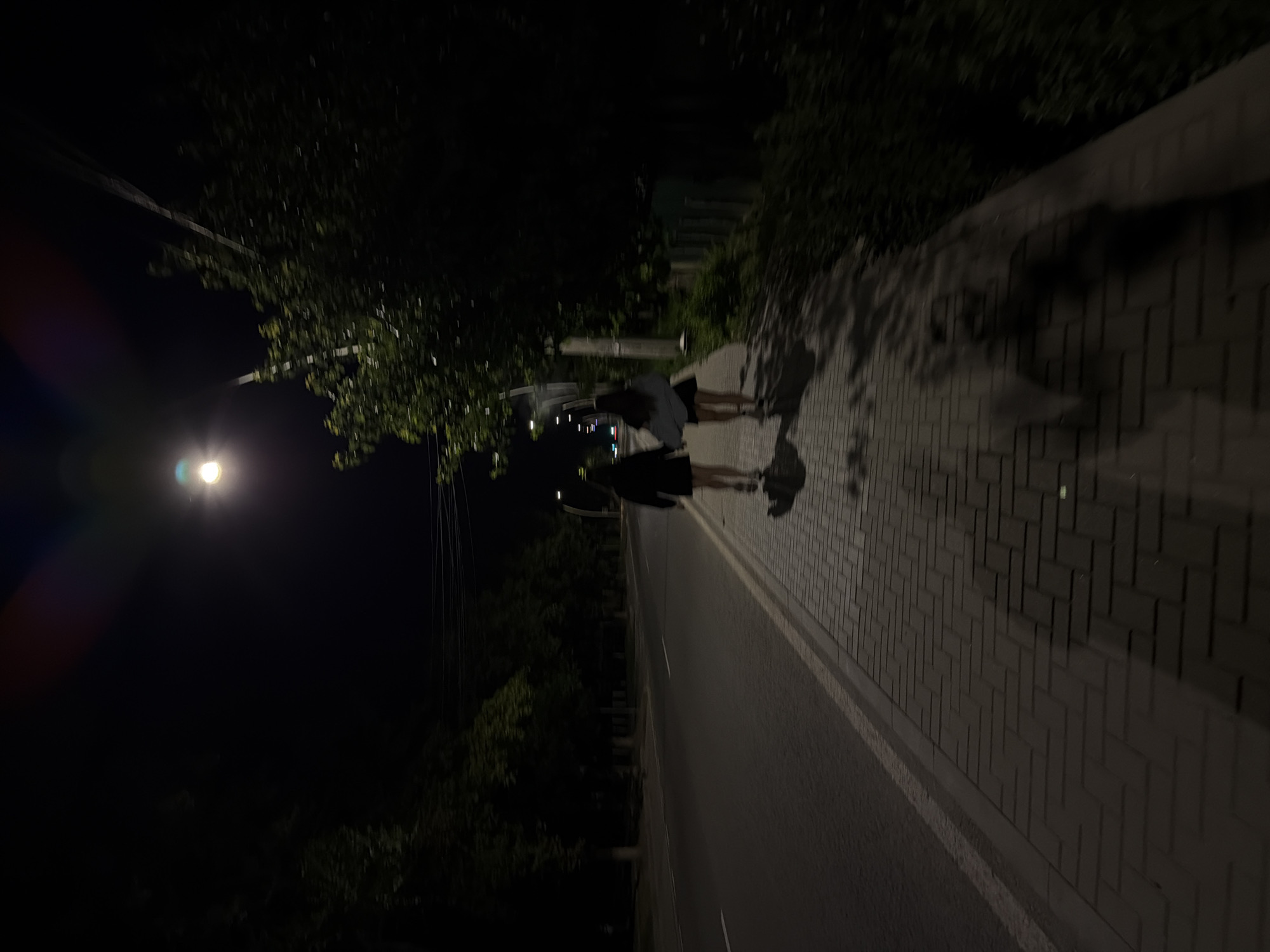 The image depicts a street scene at night in Strășeni, Moldova. Two individuals, appearing to be young women, are walking hand-in-hand away from the camera on a paved sidewalk. They are silhouetted against the dim street lighting. To their left is a dark asphalt road with white lane markings. On the right side of the sidewalk, there is dense foliage and trees, with a streetlight visible in the distance. The overall atmosphere is dark and somewhat obscured by the night.
