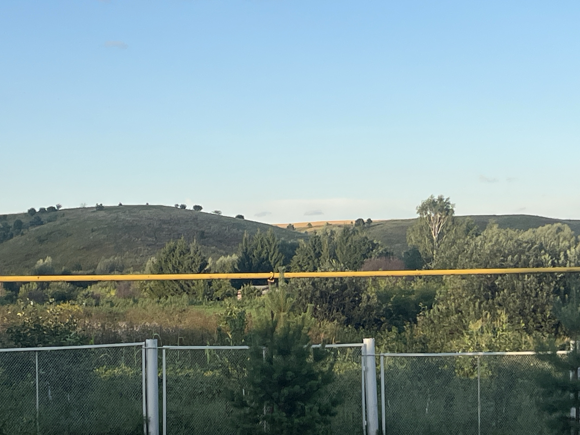 A wide shot captures a rural landscape under a clear blue sky. In the foreground, a chain-link fence runs horizontally across the bottom of the frame, with metal posts supporting it. Behind the fence, a dense array of green foliage, including trees and bushes, dominates the middle ground. A prominent yellow pipe runs horizontally above the vegetation, supported by a metal pole visible in the center of the frame. In the background, rolling green hills rise, dotted with scattered trees. The sky is a pale blue, with a few faint clouds visible. The overall scene suggests a serene, natural setting.