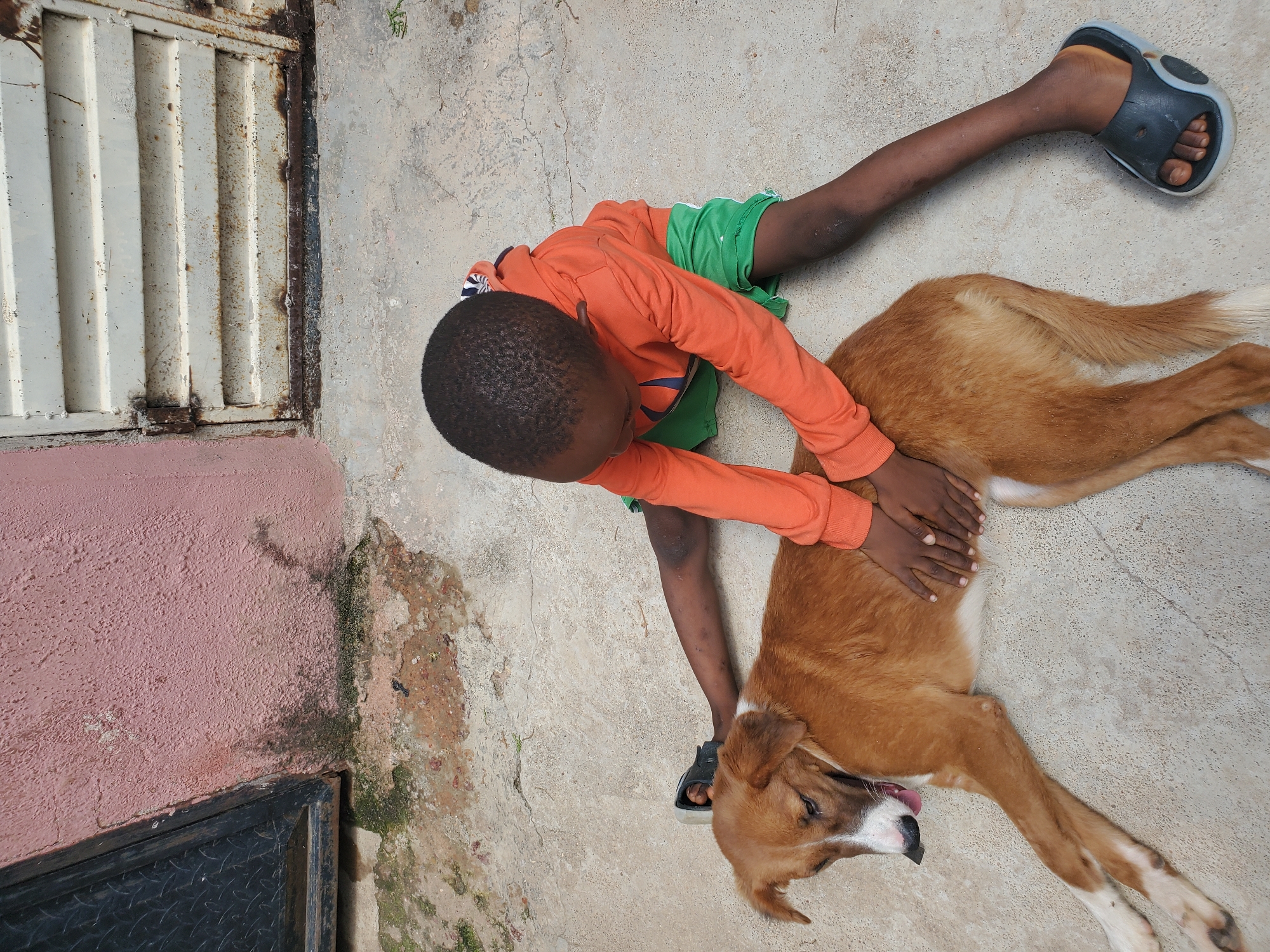 A young Black child wearing an orange hooded sweatshirt and green shorts is lying down on a concrete surface, petting a medium-sized brown and white dog. The child's left leg is extended and positioned behind the dog's body, while their right leg is bent and tucked underneath them. The child's hands are resting on the dog's torso. The dog is lying on its side with its head turned to its left, its tongue slightly out, and its eyes appear closed or partially closed. The concrete surface is cracked and has some discoloration and debris. In the background, there is a pinkish-red wall with a dark metal door or gate on the left side, and a rusty, cream-colored corrugated metal door or gate on the right. There are patches of moss and dirt on the ground and the wall. The scene appears to be outdoors, possibly in a courtyard or alleyway, consistent with an urban environment in Jos, Nigeria.