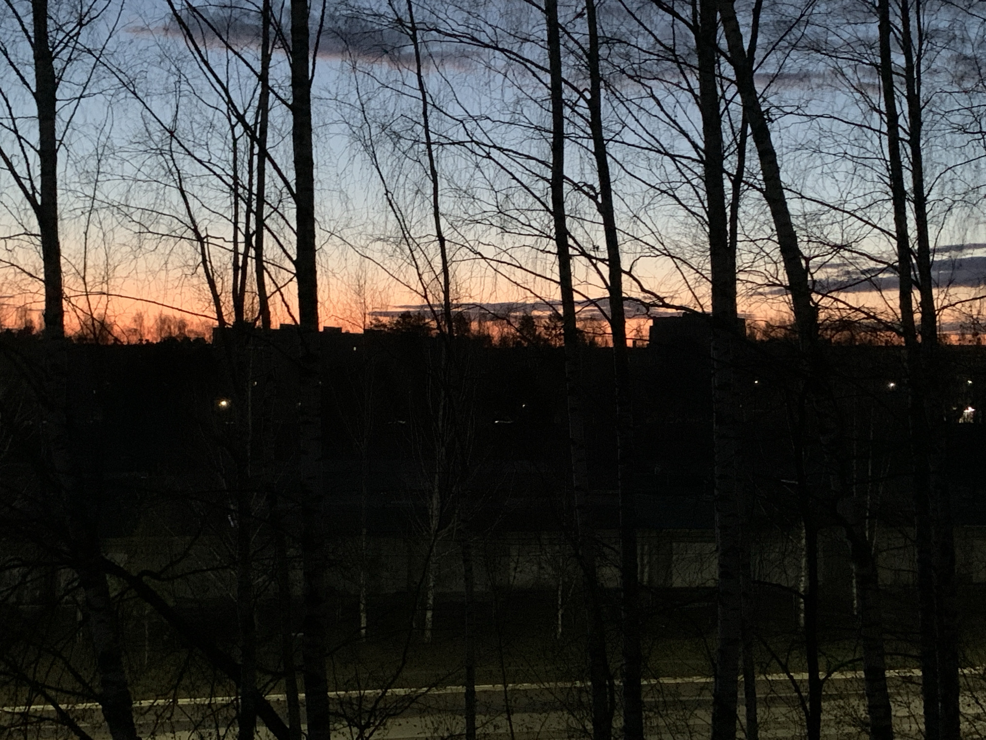 The image presents a serene twilight or dusk landscape in Chaikovsky, Russia, viewed through a dense arrangement of bare deciduous trees. The scene is dominated by the silhouettes of numerous slender trees, likely birches, whose intricate, leafless branches and dark trunks frame the sky.
The sky exhibits a striking color gradient: a pale blue-grey at the top, transitioning smoothly into a warm orange-pink glow closer to the horizon, characteristic of either dawn or dusk. Sparse, darker grey clouds are visible in the bluer upper sky. Against this colorful backdrop, the dark silhouettes of distant buildings, possibly residential or industrial structures, and additional trees define the horizon line, suggesting an urban or semi-urban setting.
The foreground and bottom section of the image are extremely dark, almost black, obscuring most details. However, a faint, lighter horizontal line is discernible, resembling a road marking or a snow-covered edge along what appears to be a road or path. A single, small, glowing point of light, likely a distant streetlamp or building light, is faintly visible on the left side, adding a subtle artificial element to the natural scene. No specific human activity or visible text is present. The overall mood is quiet and contemplative, highlighting the tranquil beauty of the transitional light.