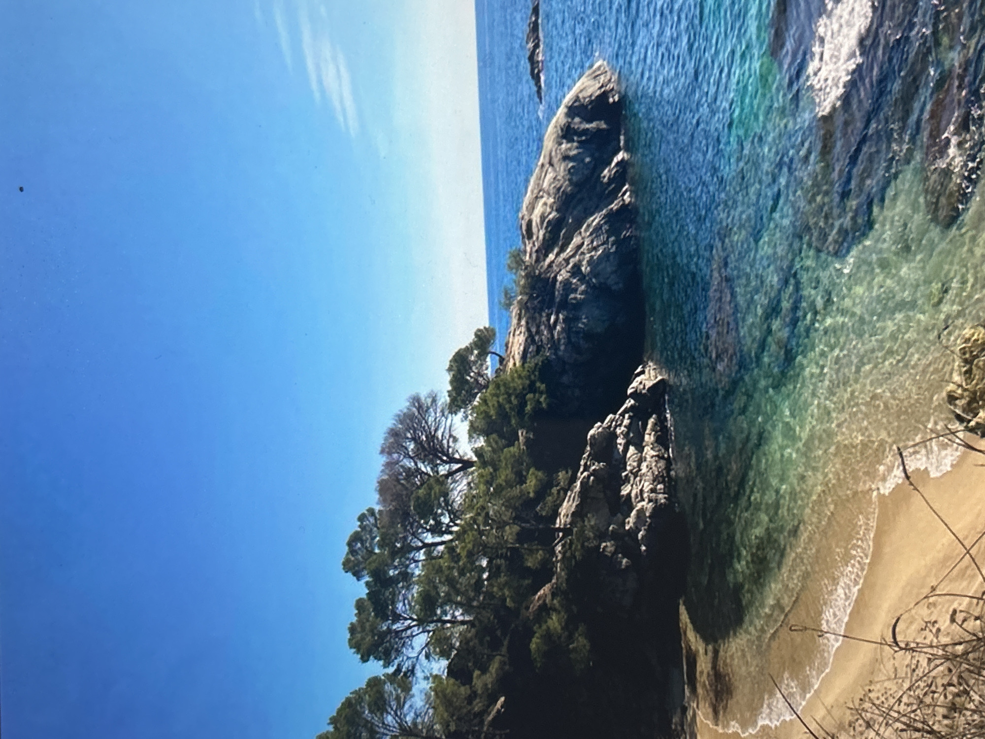 The image displays a serene coastal landscape under a bright, clear blue sky. The horizon line, stretching across the upper half of the frame, separates the vast expanse of azure sky from the calm, shimmering sea.
The coastline is rugged, featuring prominent rocky cliffs and large, grey boulders that meet the water. Lush green trees, resembling pines or similar resilient coastal vegetation, cling to the rocks, adding vibrant greenery to the scene. Some of the trees exhibit drier, possibly older, branches.
The sea itself is remarkably clear, transitioning from deep blue in the distance to lighter, almost turquoise and emerald green hues closer to the shore, revealing the rocky seabed beneath the surface. Gentle waves can be seen lapping onto a small, secluded sandy beach or cove, creating white foamy edges. On the far right, some dry, light-colored grass and scrub vegetation partially frame the view of the beach.
No people or human structures are visible, emphasizing the natural and untouched beauty of the location. The scene appears to be set during a bright, sunny day, likely mid-morning or early afternoon, given the strong illumination and lack of shadows indicating extreme times of day. The weather is clear and calm. There is no visible text in the image.