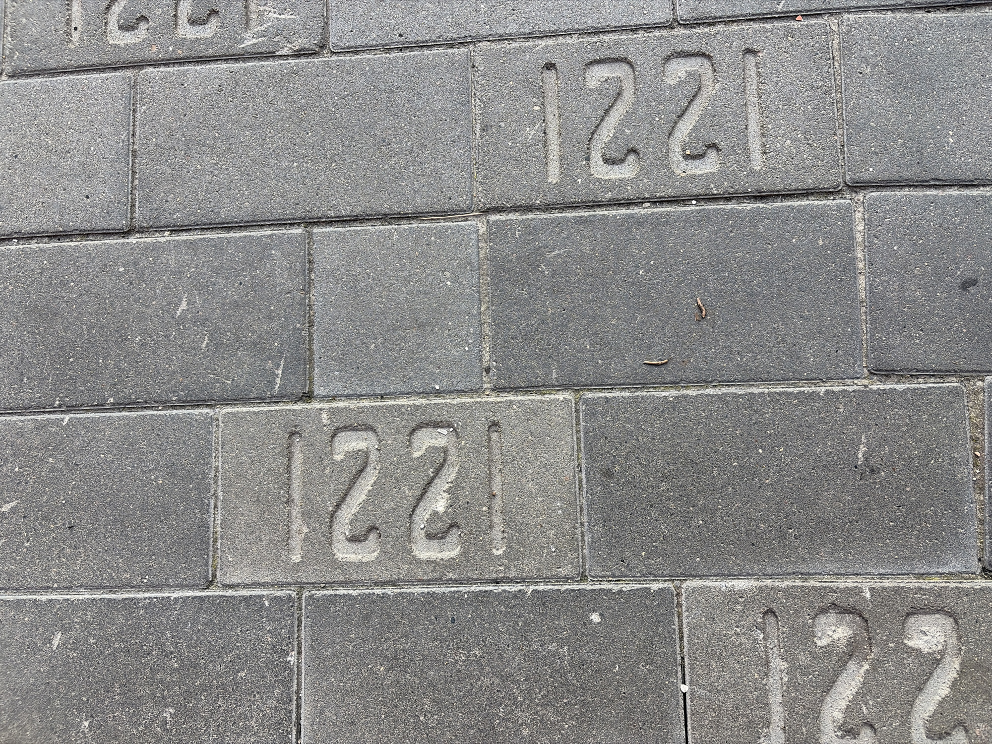 The image shows a close-up, overhead view of a paved area with rectangular concrete pavers. Some of the pavers have numbers embossed into them. In the center and right side of the image, the number "1221" is visible, with each digit occupying its own paver. The digits are raised and appear to be part of the paver manufacturing. The paving stones are laid in a regular pattern. The environment appears to be outdoors, possibly a sidewalk or plaza, given the texture and material of the ground. The lighting suggests it is daytime. There are no people or animals visible in the image.