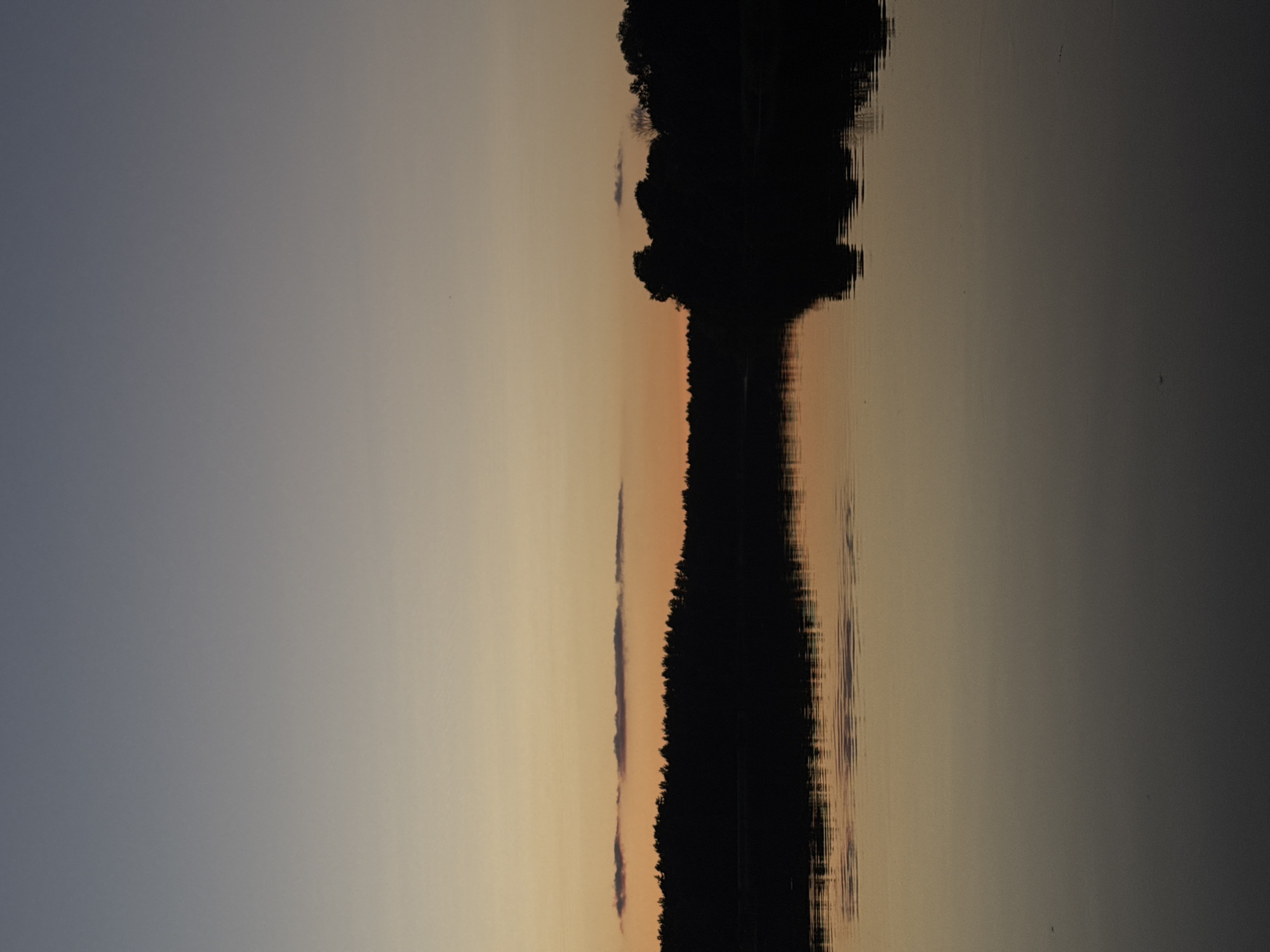 A vertical, full-frame, eye-level shot depicts a serene sunset over a body of water, likely a river or lake, in Carnikava, Latvia. The sky is a gradient of colors, transitioning from a deep dusky blue at the top to a soft peachy orange near the horizon. A thin, elongated cloud stretches horizontally across the sky, just above the tree line. The silhouette of a dense forest forms a dark, undulating band across the middle of the image. The water's surface is calm, reflecting the colors of the sky and the dark tree line, creating a mirror image. The overall atmosphere is tranquil and peaceful, evoking the quiet beauty of the natural landscape at dusk.