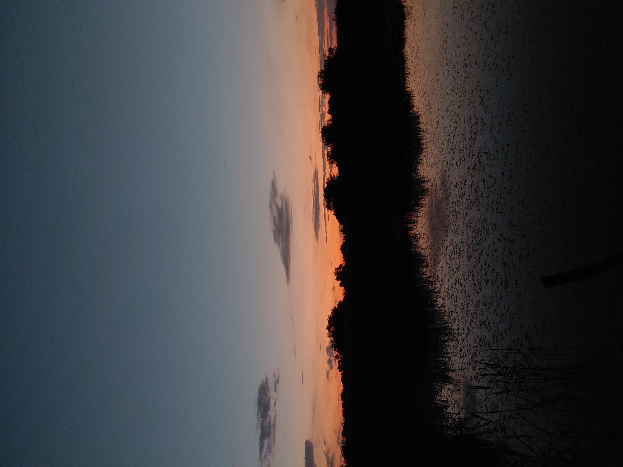 The image depicts a sunset over a body of water in Ustyvytsia, Ukraine. The sky transitions from a deep blue at the top to a soft orange and pink hue near the horizon. Silhouetted trees form a dark line across the middle ground, with their reflections visible in the calm water below. The water's surface is partly covered with dark vegetation, possibly lily pads. Reeds and tall grass are visible along the left bank. The scene conveys a peaceful, natural environment at dusk.