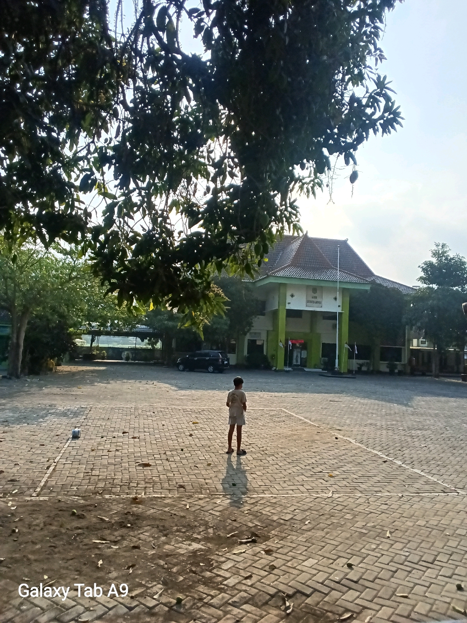 Memory