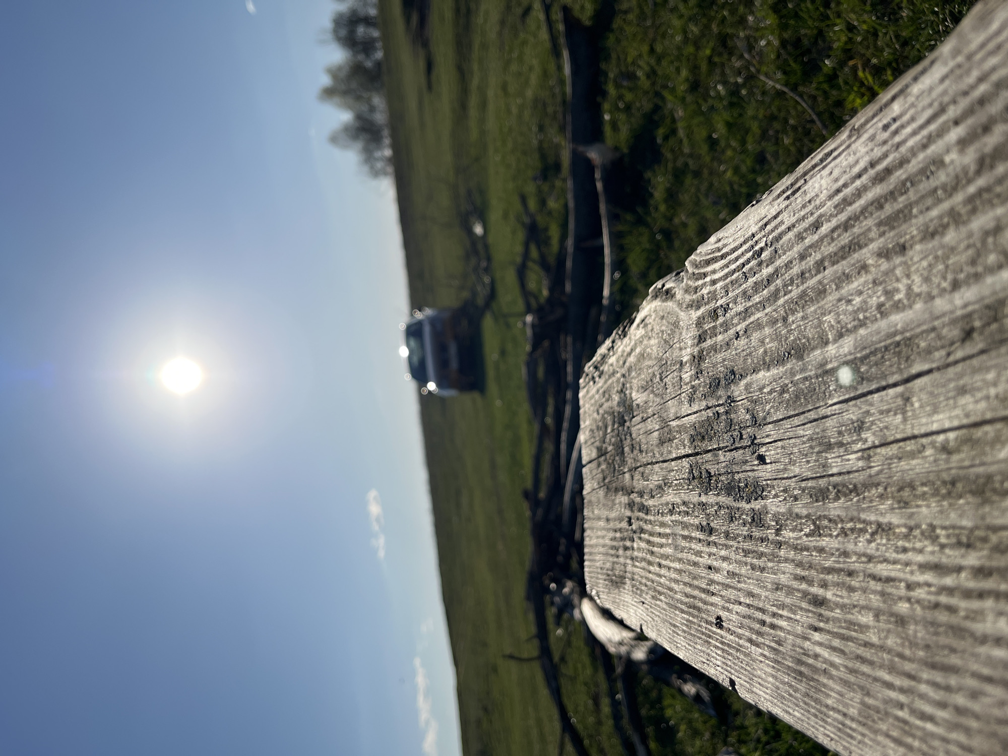 The image depicts a wooden fence in a field, likely located in or near Раздолье, Russia. The fence is in the foreground, with a blurred landscape in the background. The background includes a field with green grass, scattered trees, and a blue sky with the sun. A blurred vehicle is visible in the distance. The image is taken from a low angle, emphasizing the texture and detail of the wooden fence.